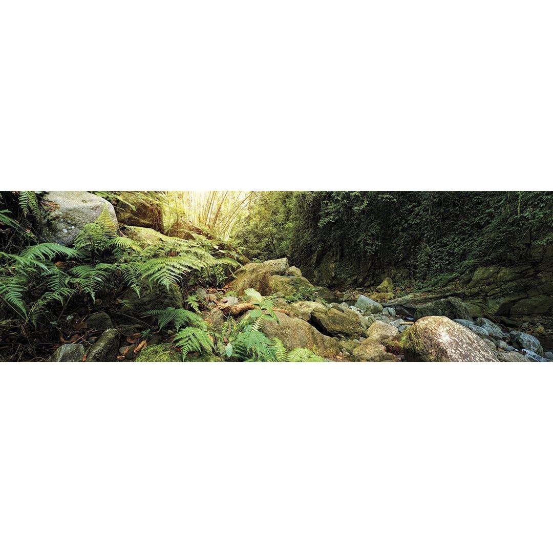 Adherencia de Terrario Bosque Galápagos 28x91 cm