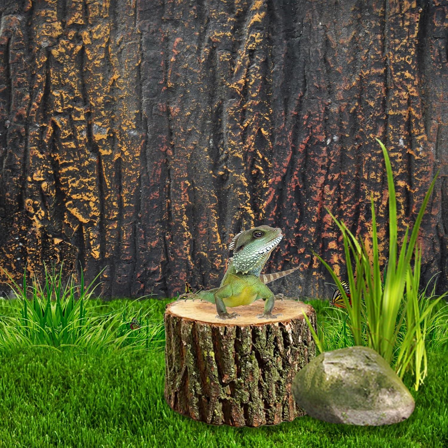 Fondo 3D para Tanque de Reptiles MUYG 45x28 cm Rocas