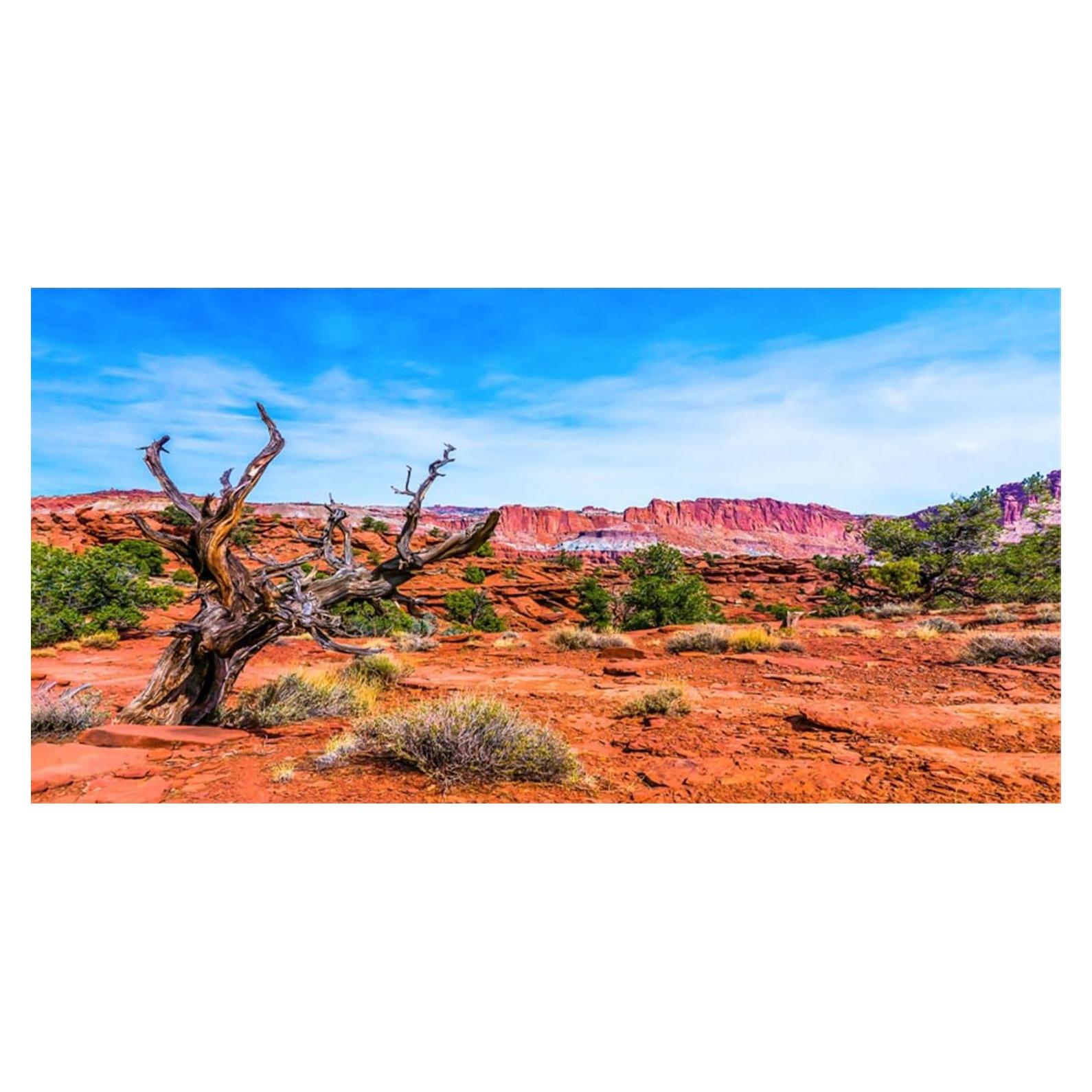 Fondo para Acuario 180x45 cm AWERT Poliester Azul Naranja