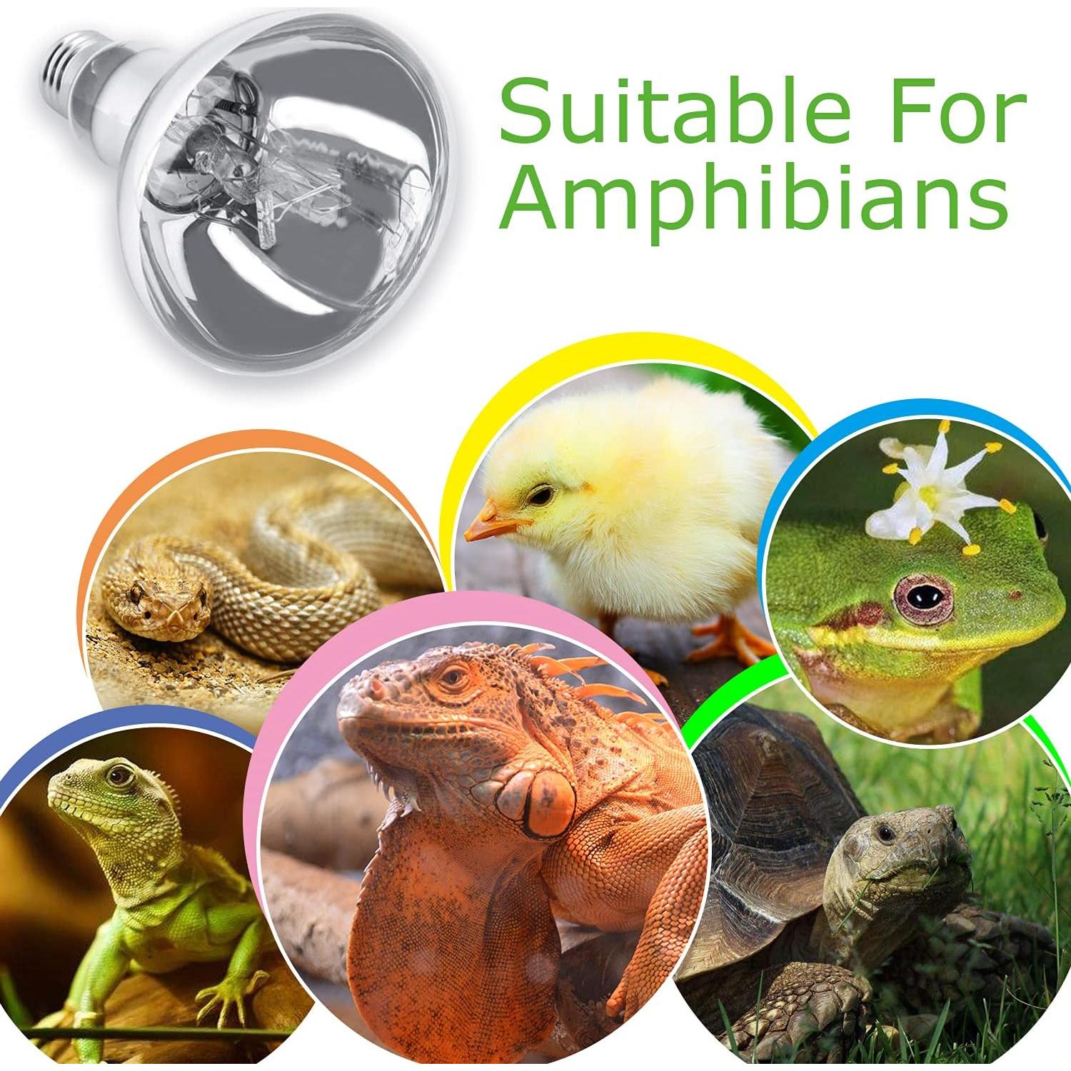 Bombilla de Calor para Reptiles MIXJOY 160W UVA UVB 11.5cm