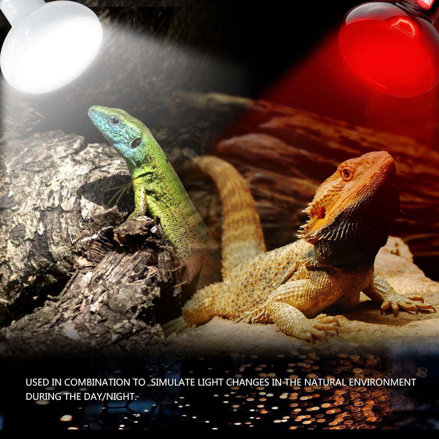 Bombillas de Calor UVA y Infrarrojas para Reptiles 100W - Waazoorep