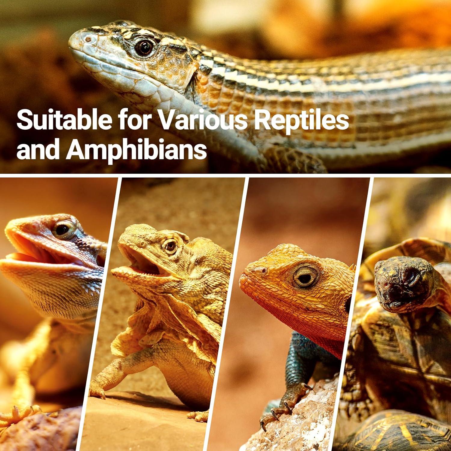 Lámpara de Calor Intensivo REPTI ZOO 50W para Reptiles