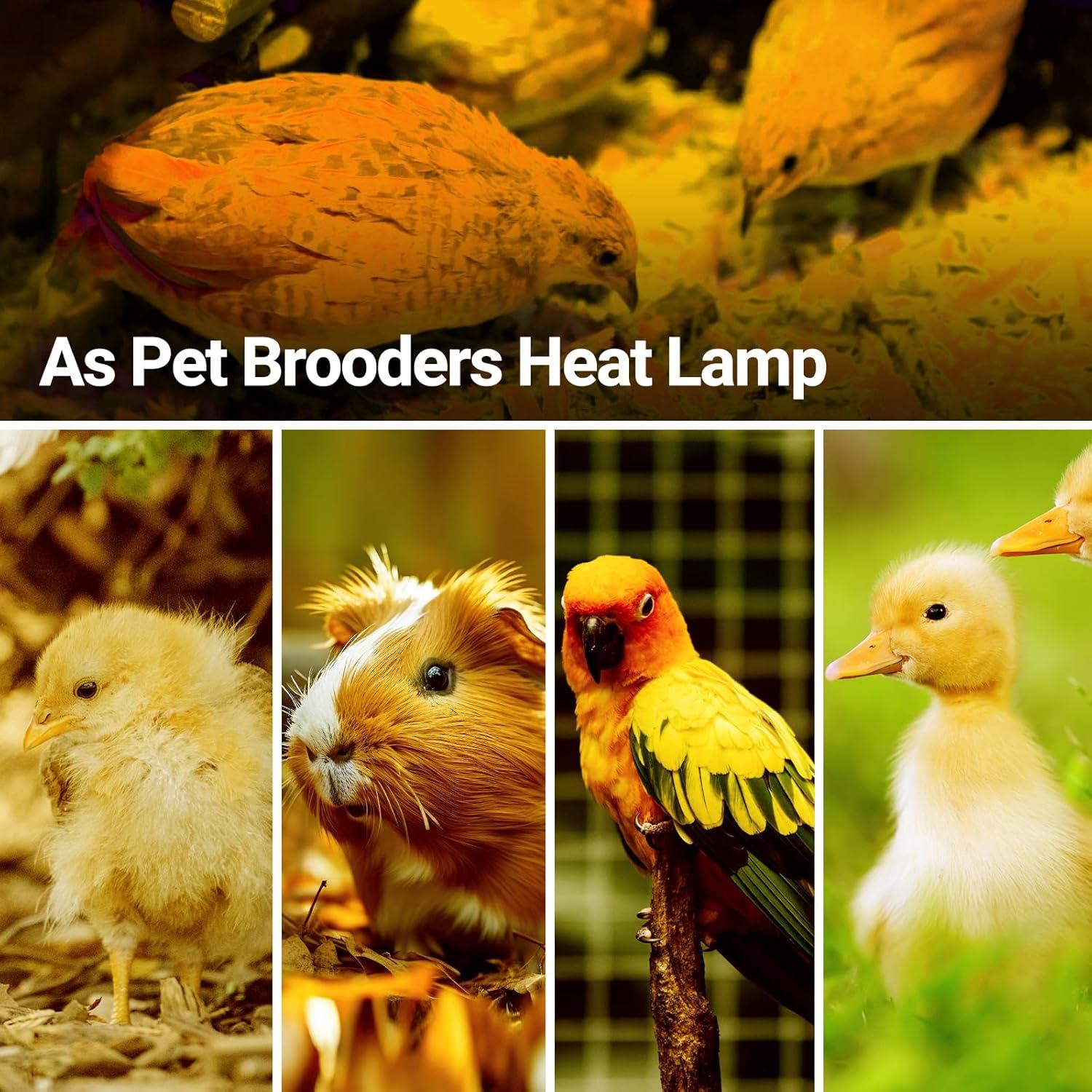 Lámpara de Calor Intensivo REPTI ZOO 50W para Reptiles