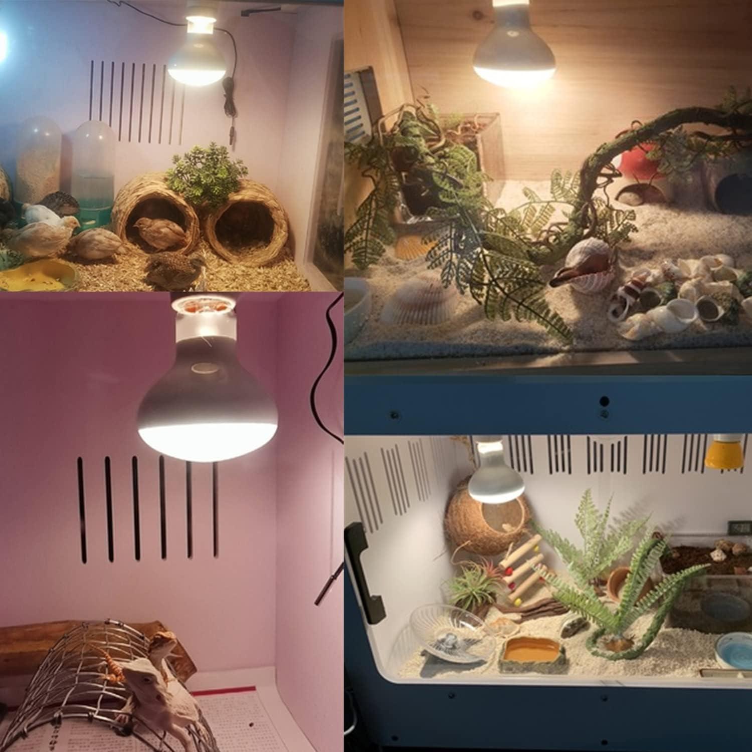 Bombilla de Calor para Reptiles AIICIOO 100W UVA Luz Diurna