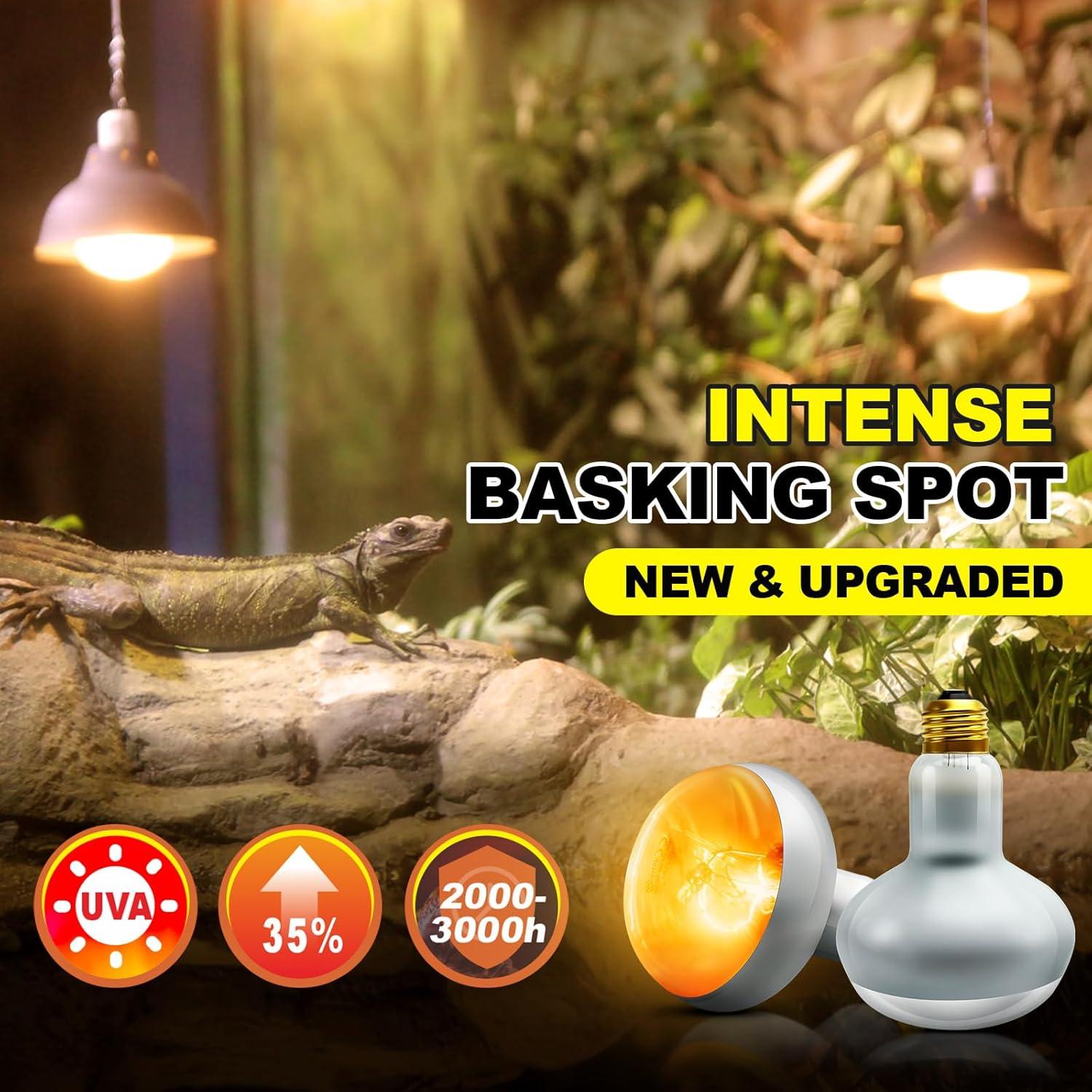 Bombilla de Calor para Reptiles MIXJOY 100W - Paquete de 2