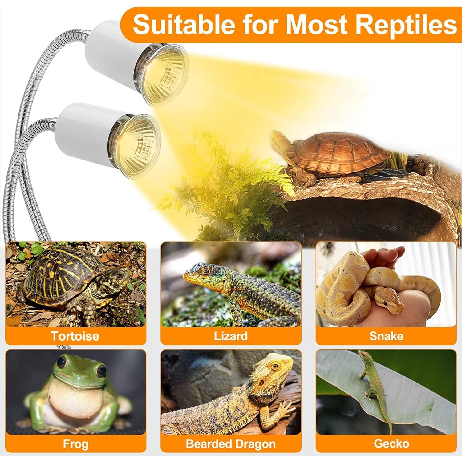 Lámpara de Calor para Reptiles Petboda WGD001 4 Bombillas 25W/50W