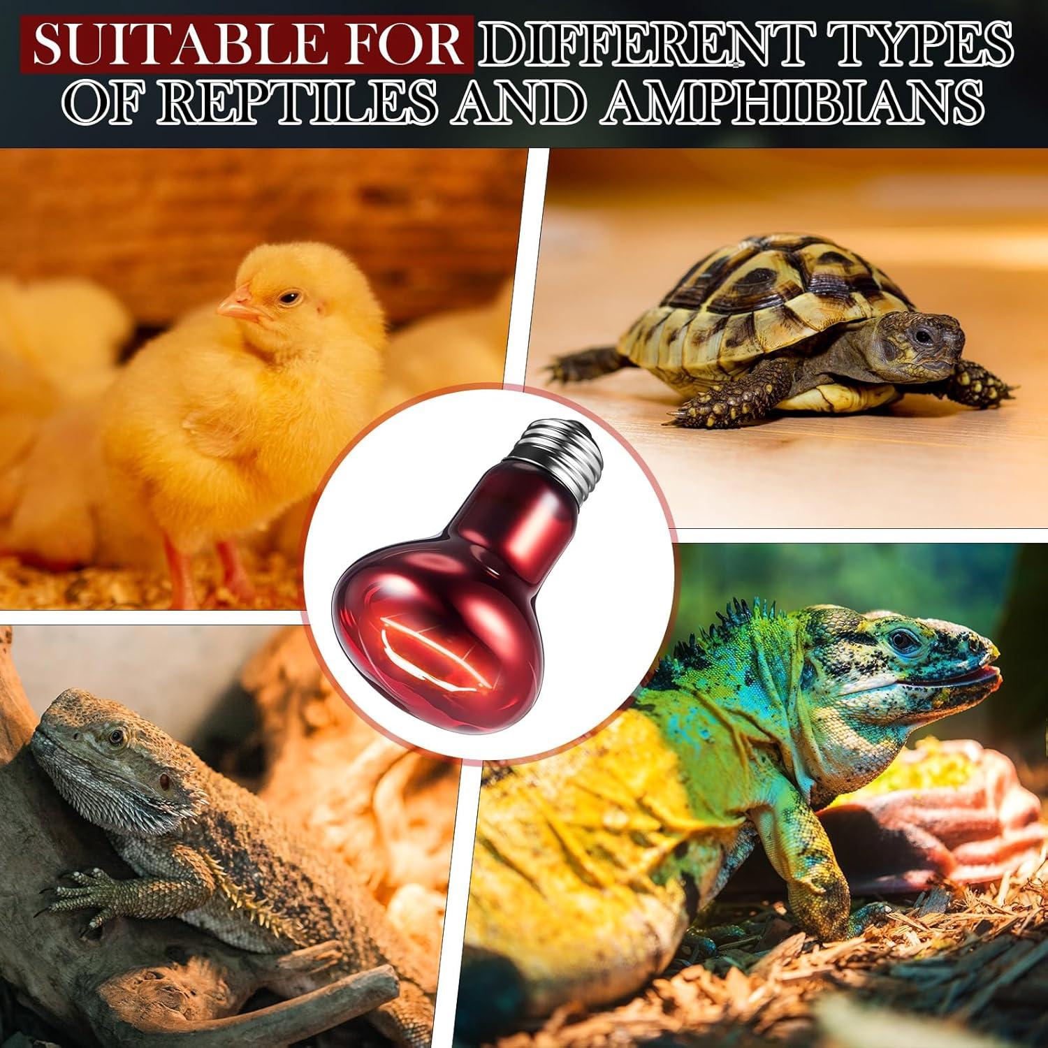 Lámpara de Calor Infrarrojo 75W VIHOSE para Reptiles