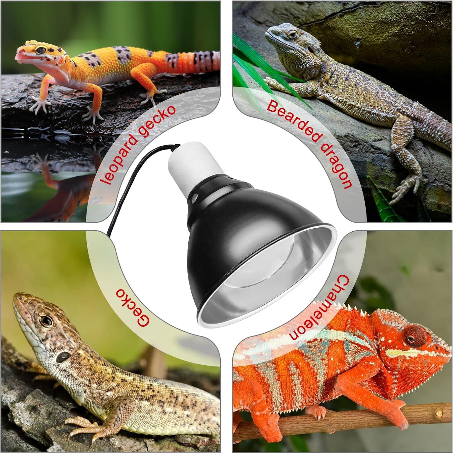 Lámpara de Reptil BOEESPAT Cúpula Profunda 14cm 150W