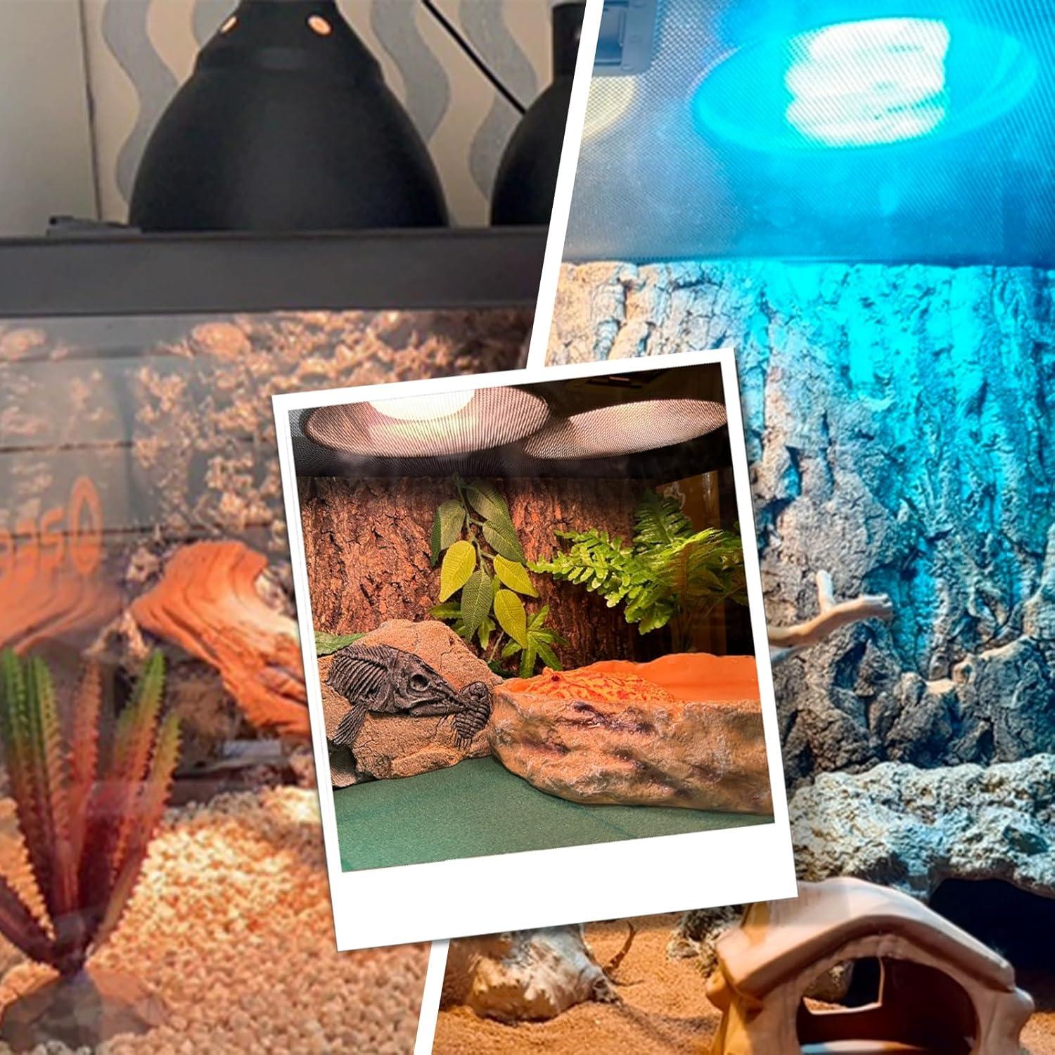 Lámpara de Reptil BOEESPAT Cúpula Profunda 14cm 150W