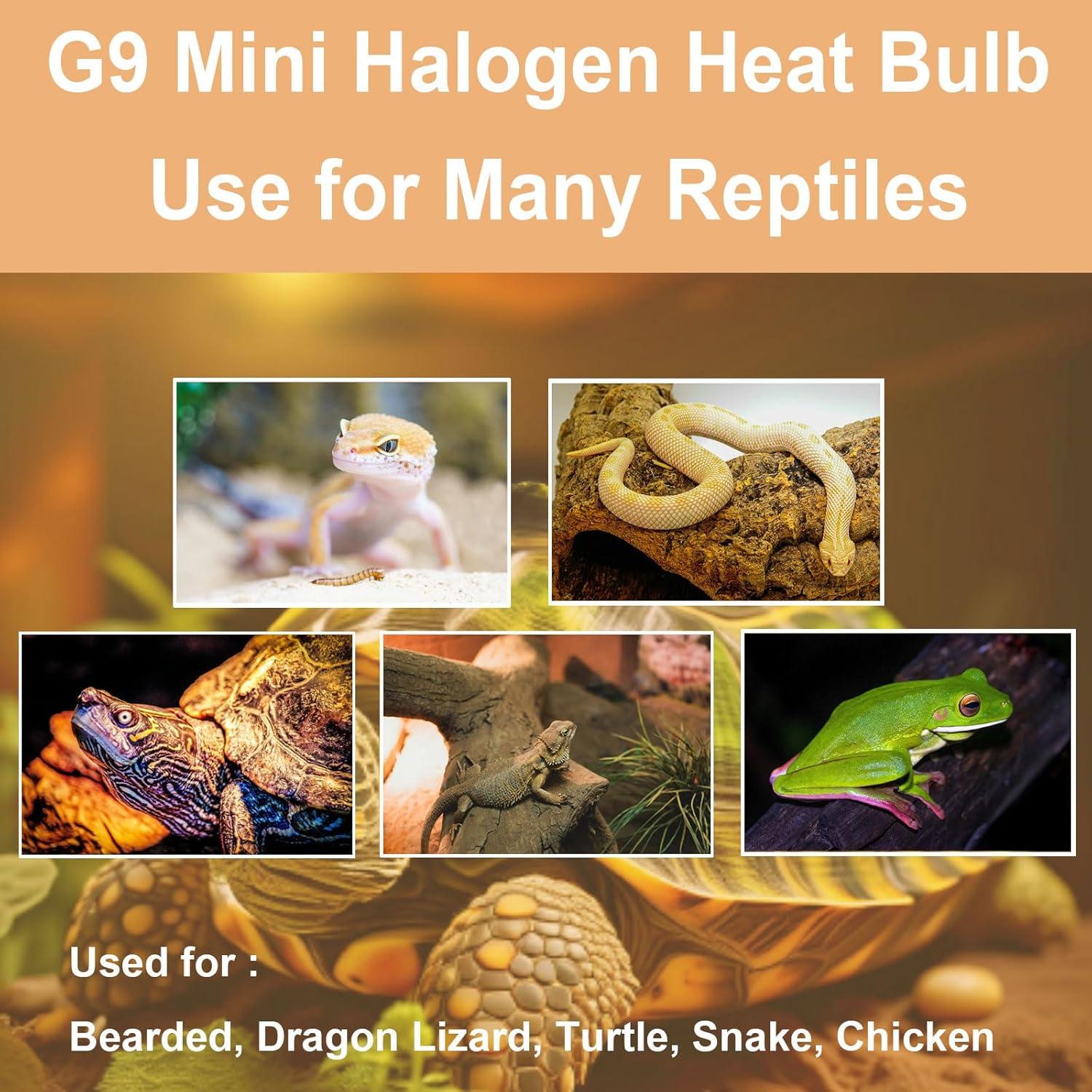 Bombillas de Calor G9 Halógenas 50W para Reptiles - Paquete de 2