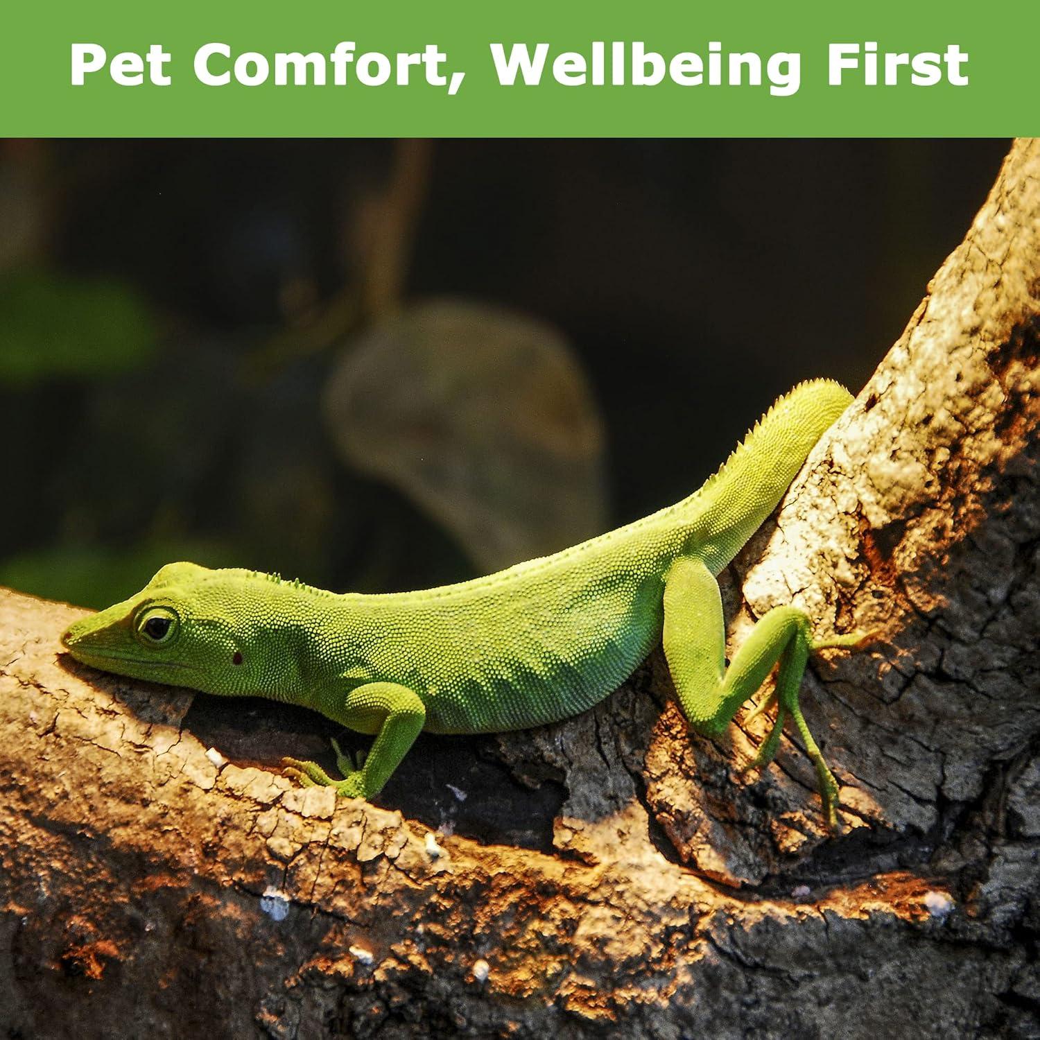 Bombillas de Calor para Reptiles HARTOMPET 75W UVA - Paquete de 2