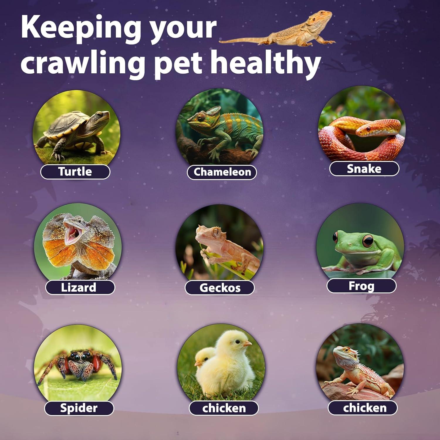 Lámpara de Calor para Reptiles TRIGRAND 100W UVA UVB 4 Pzas