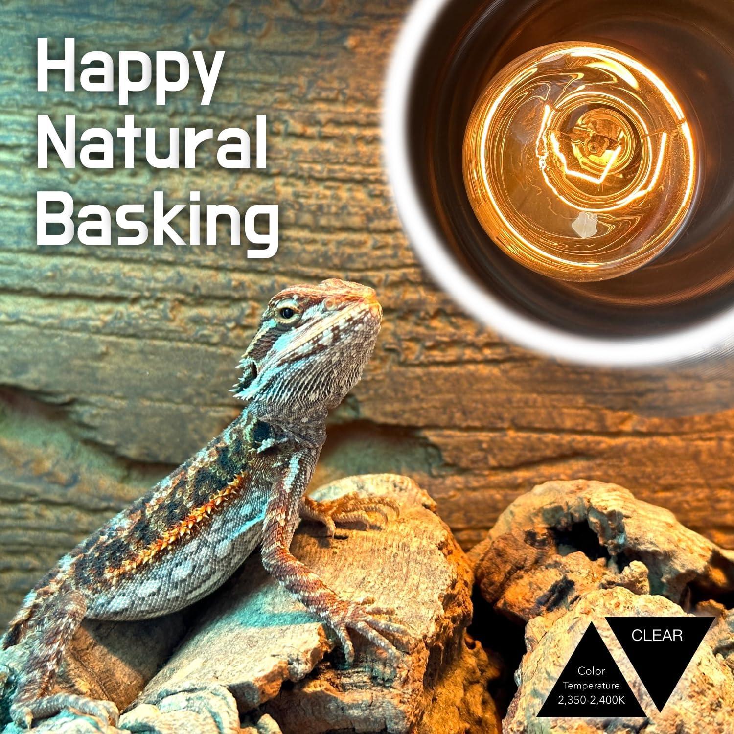 Lámpara de Calor para Reptiles ReptiKing 100W Paquete de 2