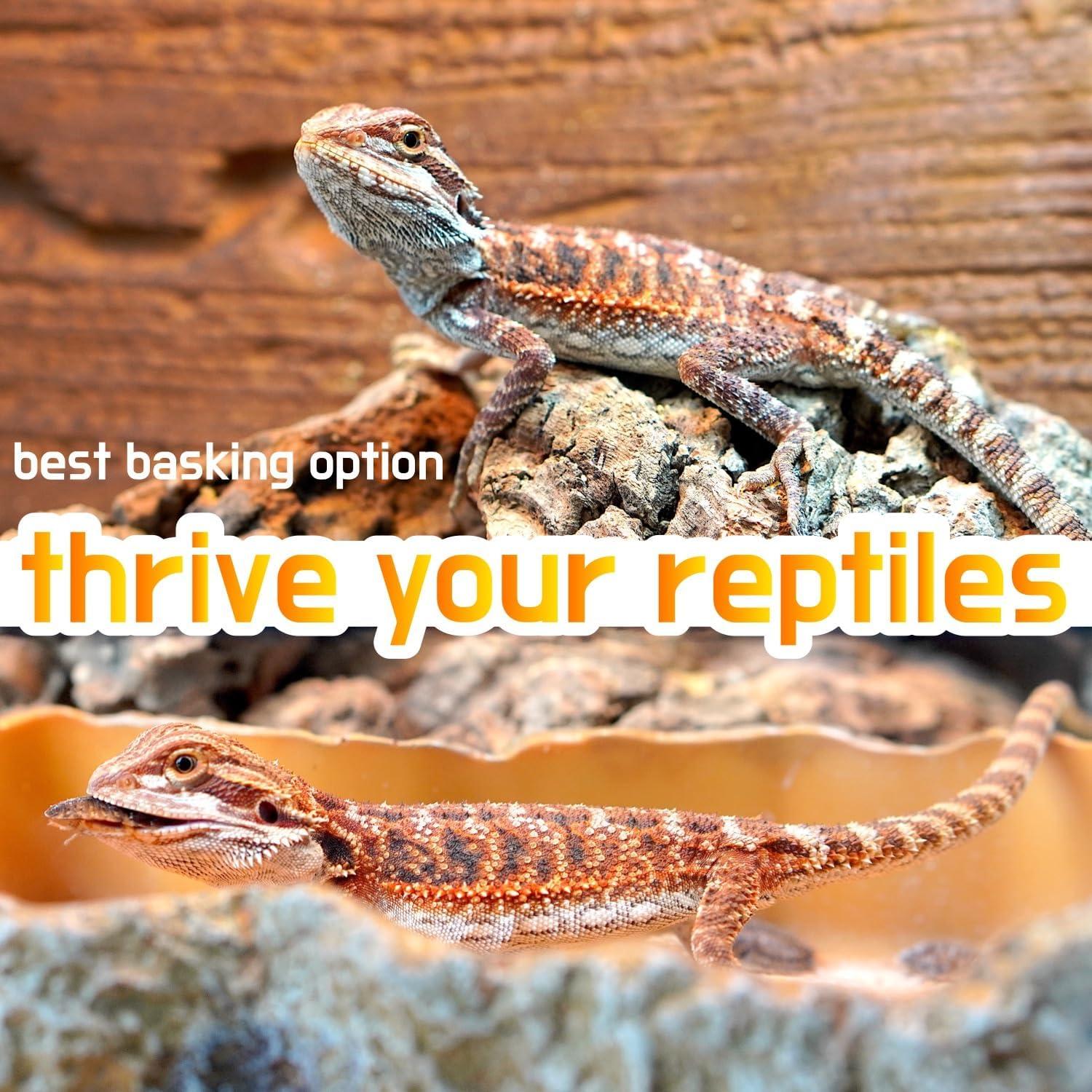 Lámpara de Calor para Reptiles ReptiKing 100W Paquete de 2