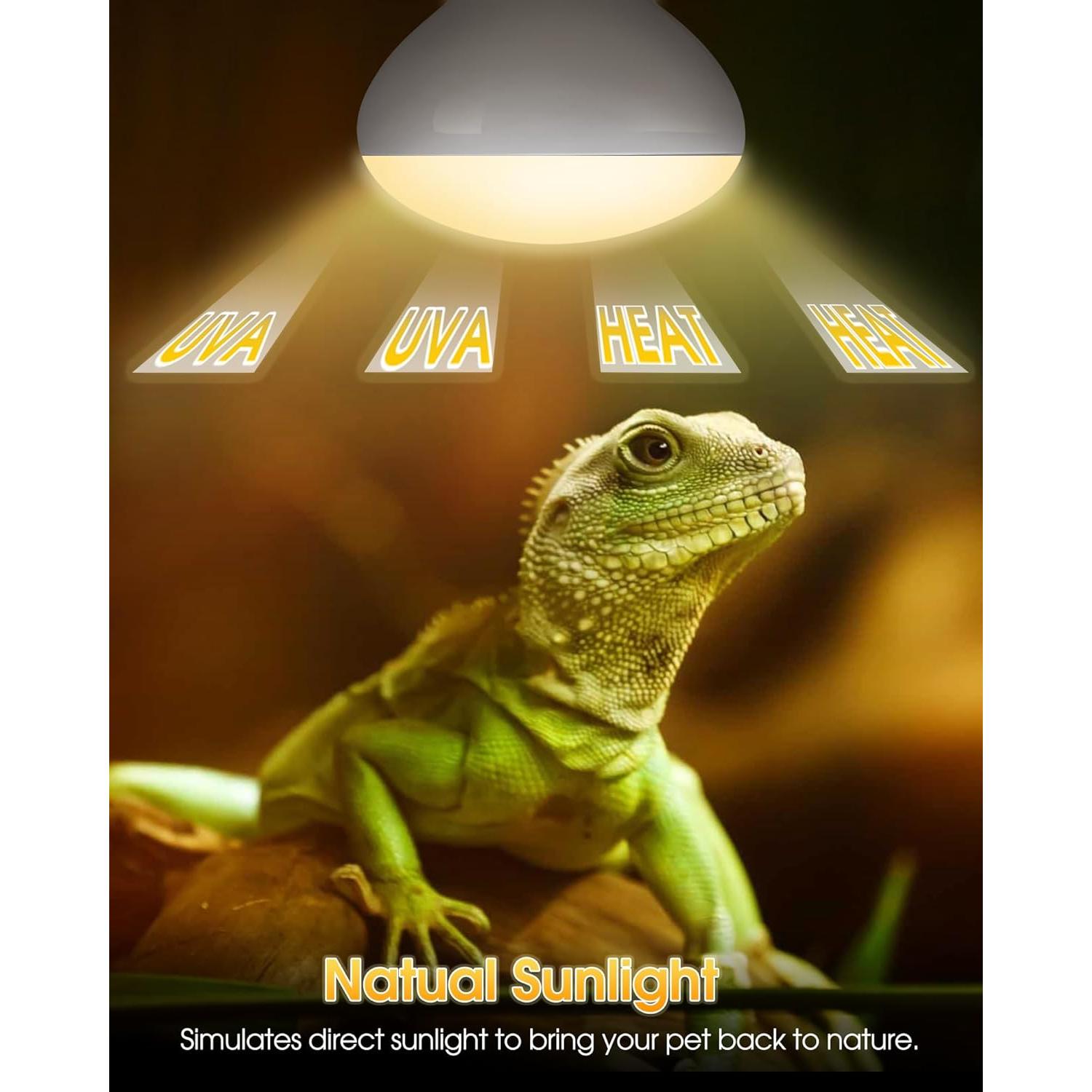 Bombillas de Calor para Reptiles TuoF 100W Paquete de 2