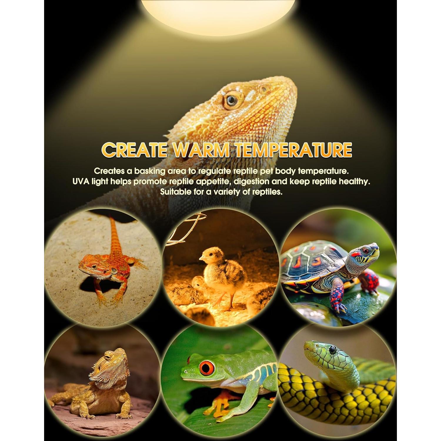 Bombillas de Calor para Reptiles TuoF 100W Paquete de 2