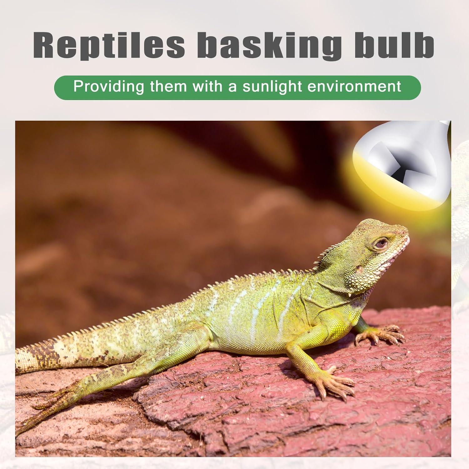 VIHOSE 6 Bombillas de Calor 150W E26 para Reptiles