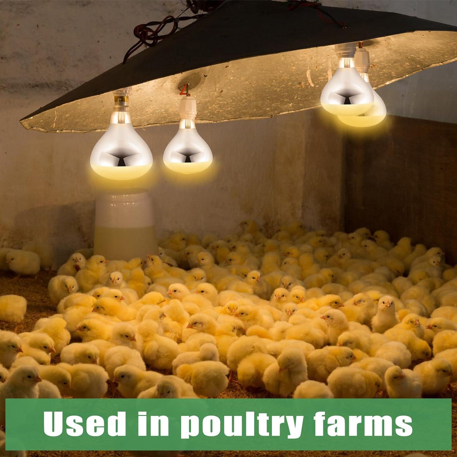 VIHOSE 6 Bombillas de Calor 150W E26 para Reptiles