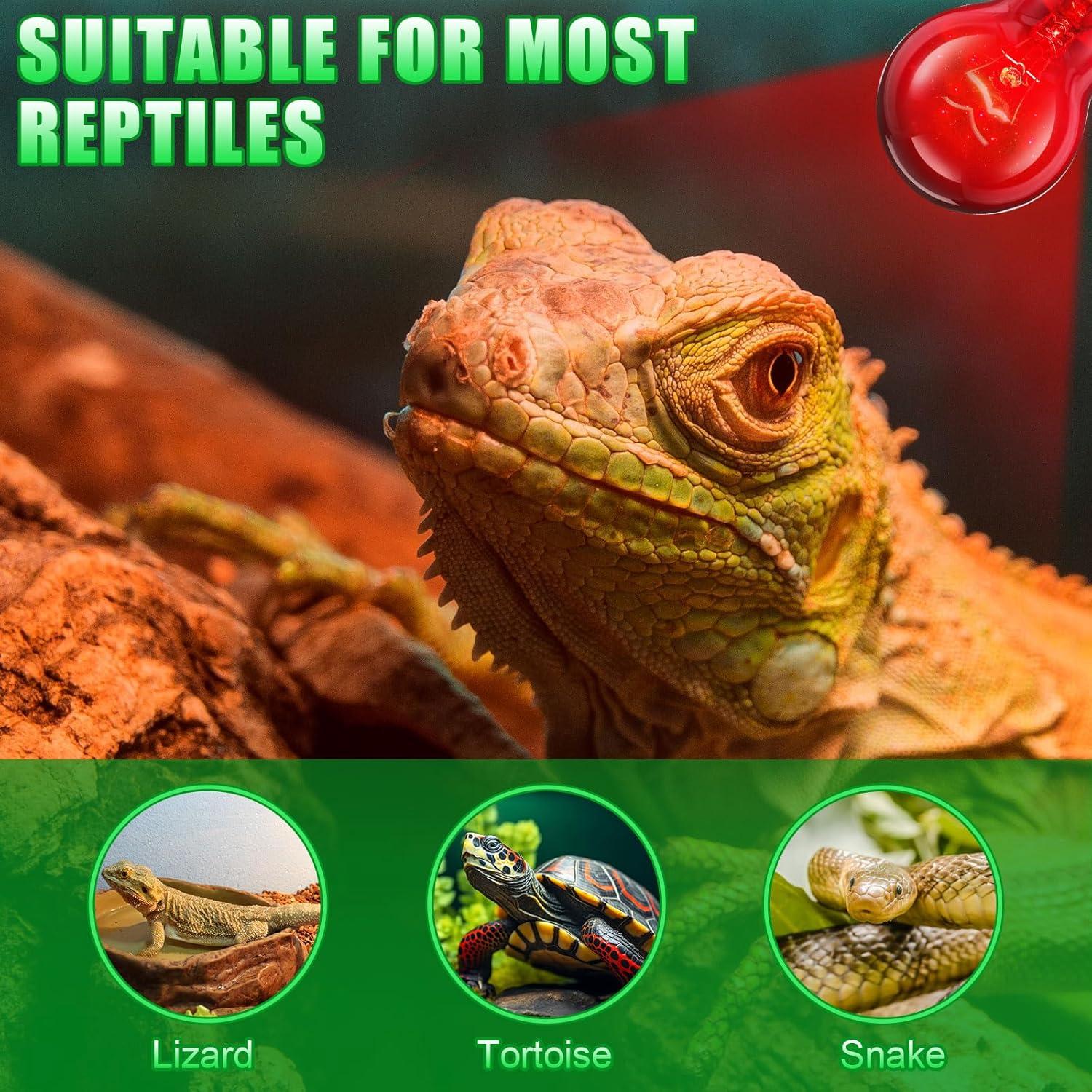 8 Bombillas de Calor Infrarrojo 100W Kittmip para Reptiles