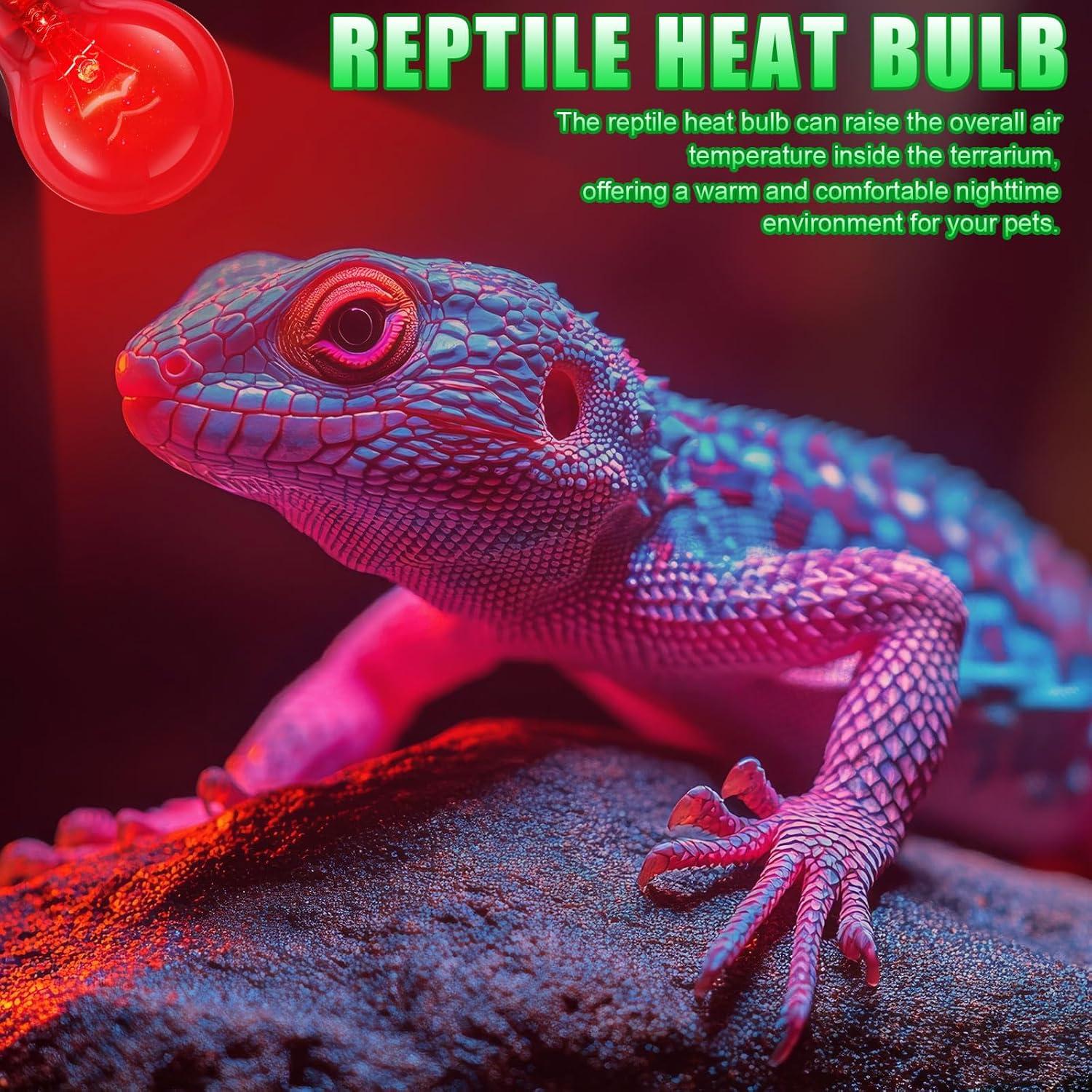 8 Bombillas de Calor Infrarrojo 100W Kittmip para Reptiles