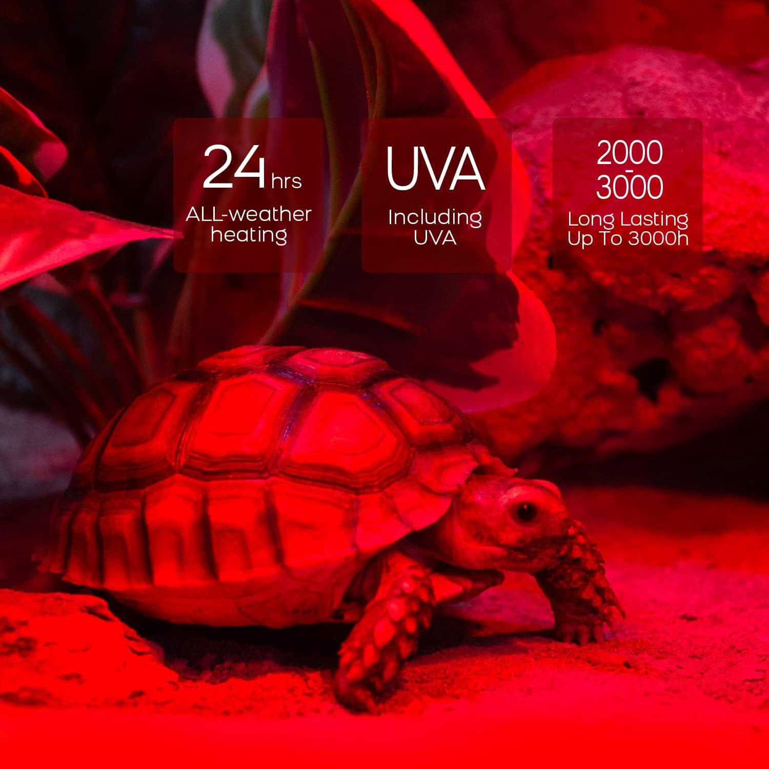 Bombillas de Calor Infrarrojas WACOOL 75W para Reptiles - 2 Paquete