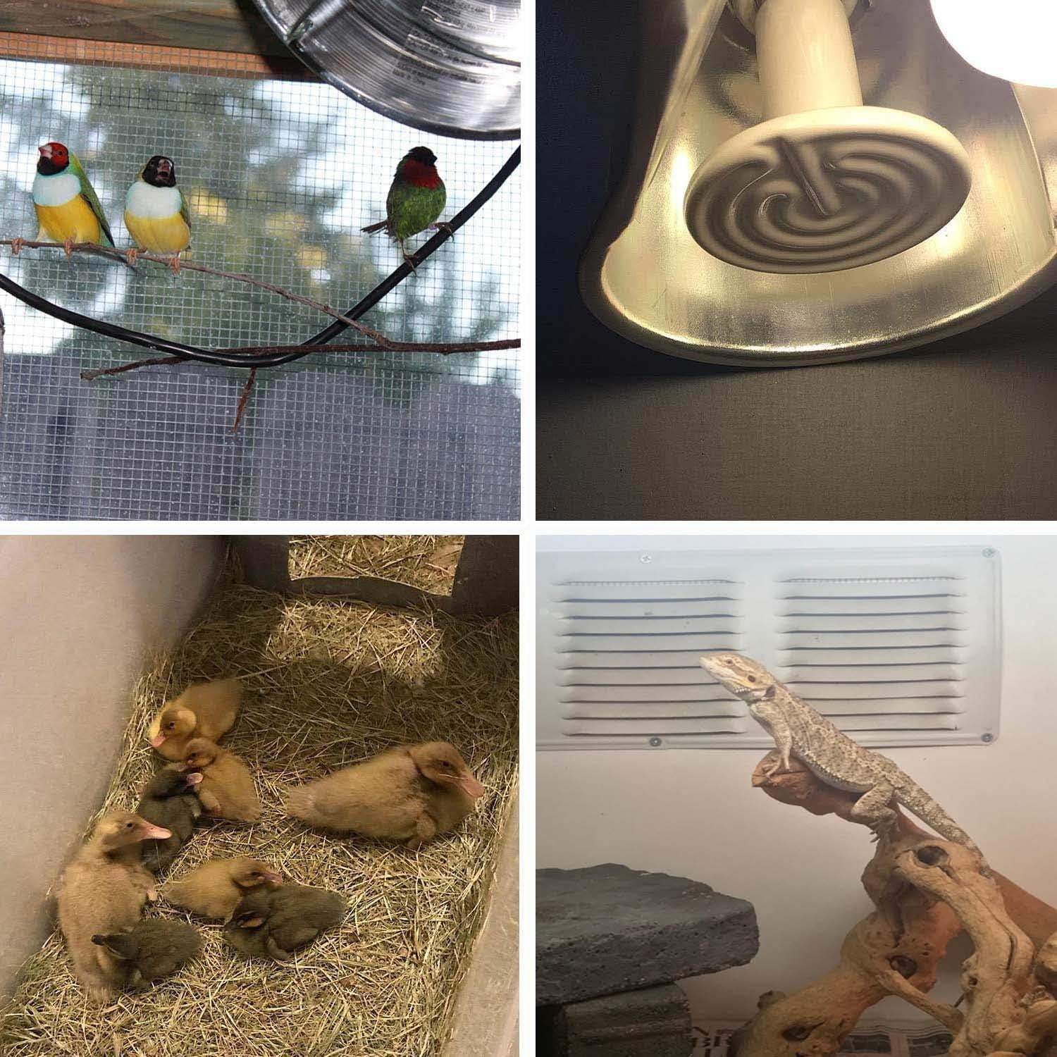 Lámpara de Calor Cerámica OMAYKEY 75W para Reptiles y Anfibios