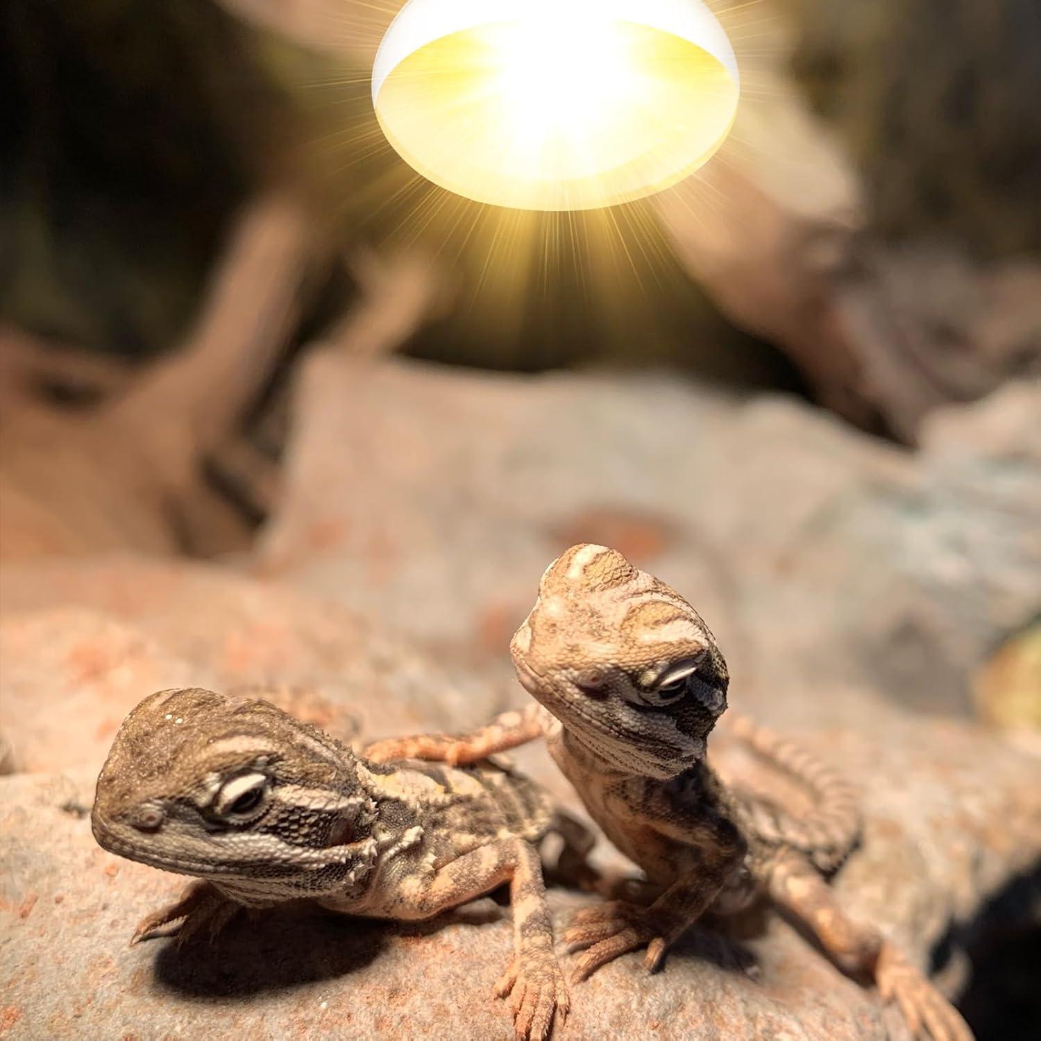 Lámpara de Calor UVB UVA 100W para Reptiles DXOPHIEX