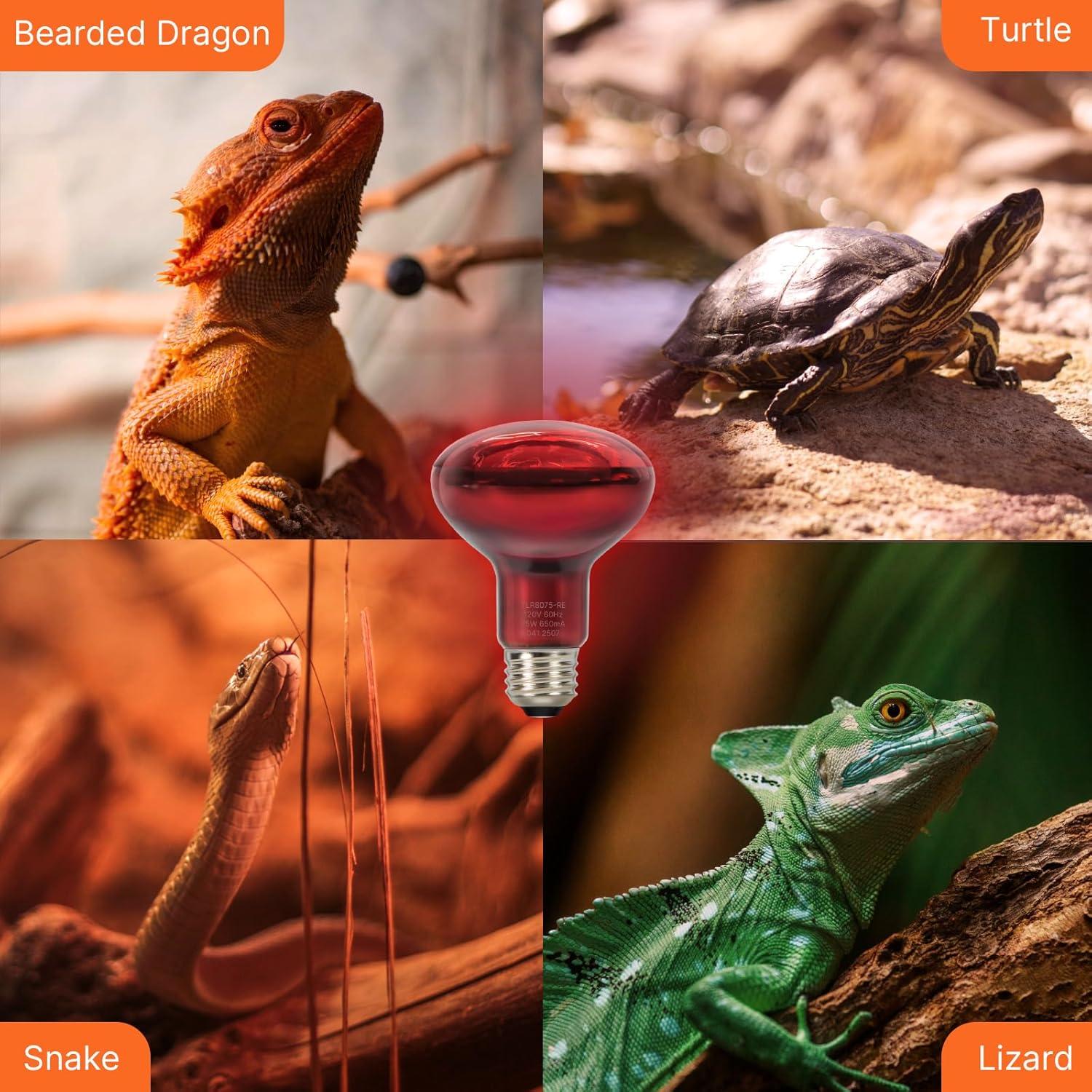 Bombilla de Calor Roja ALAMPEVER 75W E26 para Reptiles - 2 Paquete