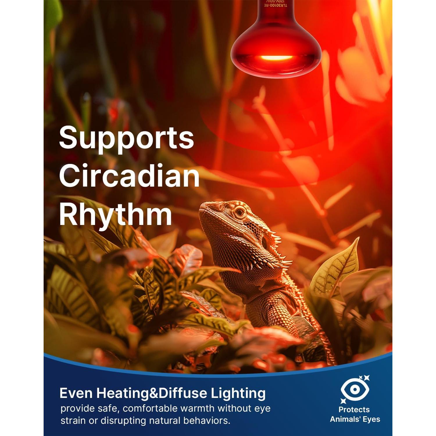 Bombillas de Calor Infrarrojo FLSNT 100W para Reptiles