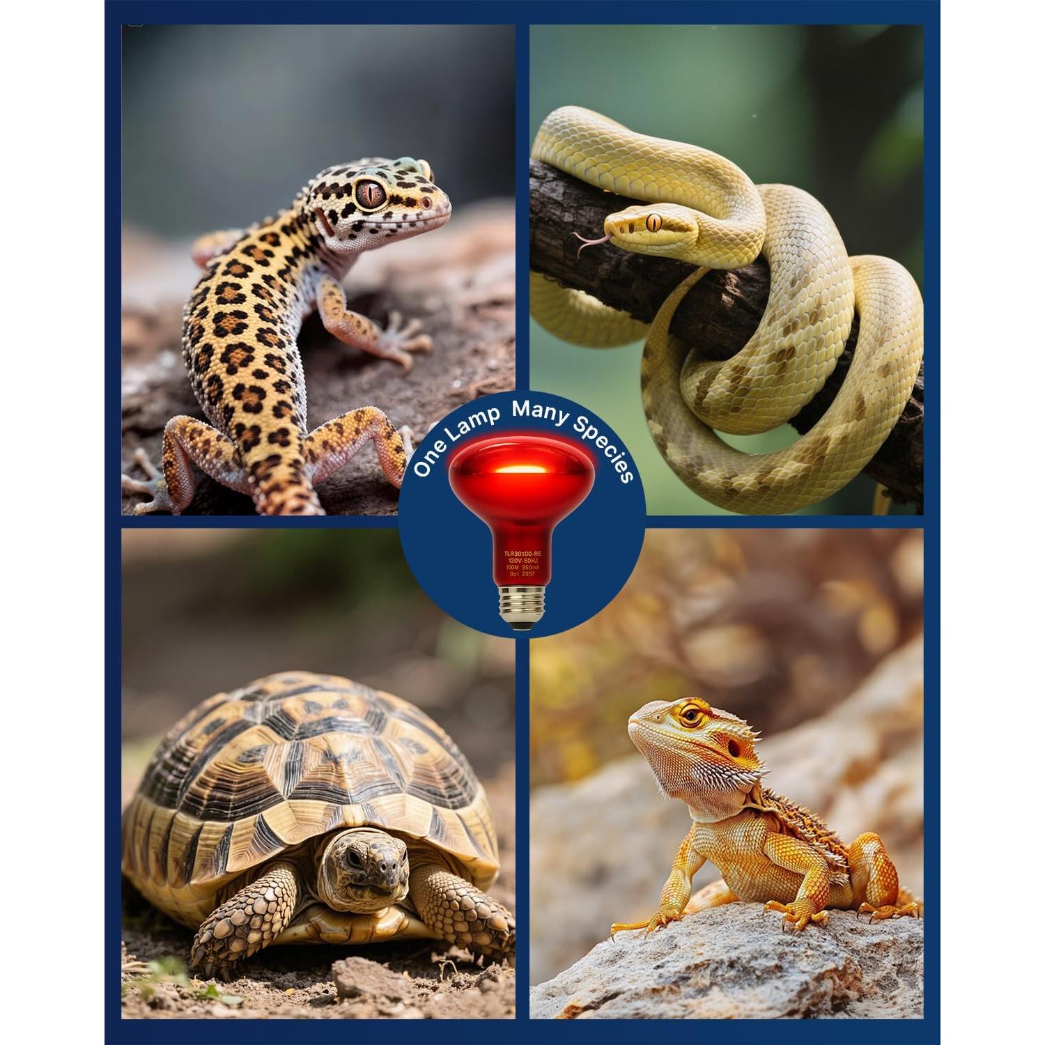 Bombillas de Calor Infrarrojo FLSNT 100W para Reptiles