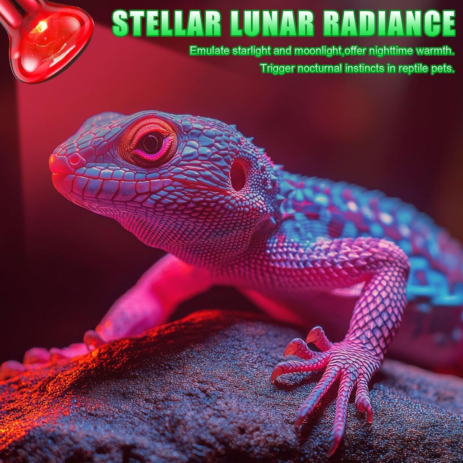 Set de 10 Bombillas de Calor para Reptiles Kittmip 75W