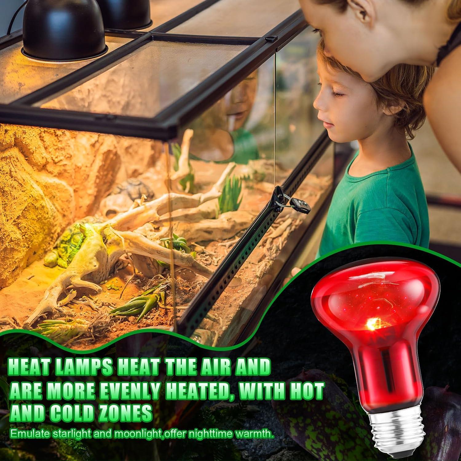 Set de 10 Bombillas de Calor para Reptiles Kittmip 75W