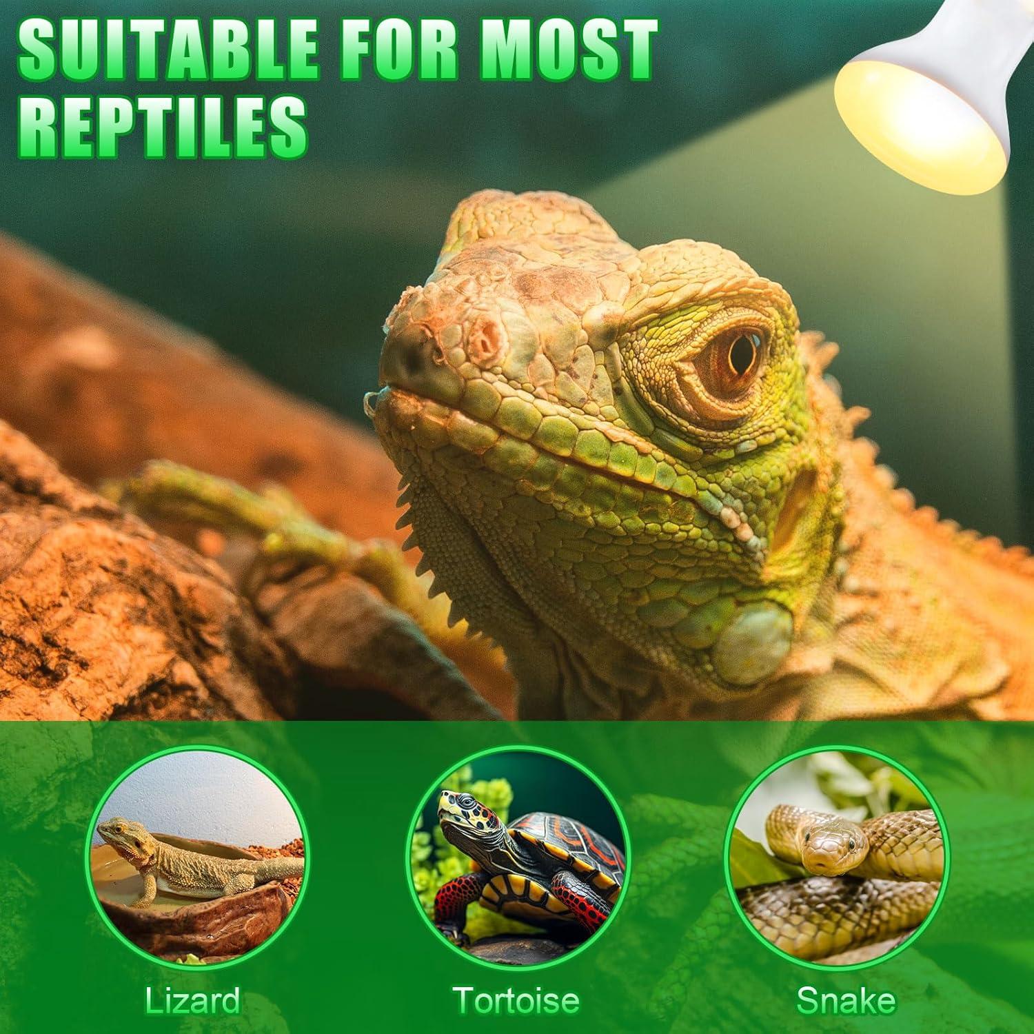 Set de 10 Bombillas de Calor para Reptiles Kittmip 75W