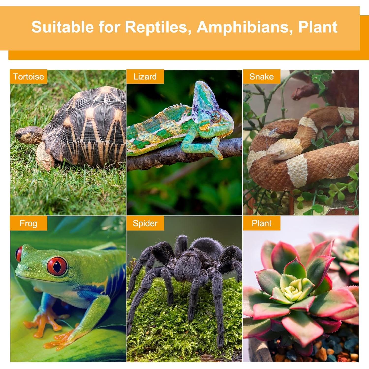 Lámpara de Calor para Reptiles Catcan 50W UVA UVB Ajustable