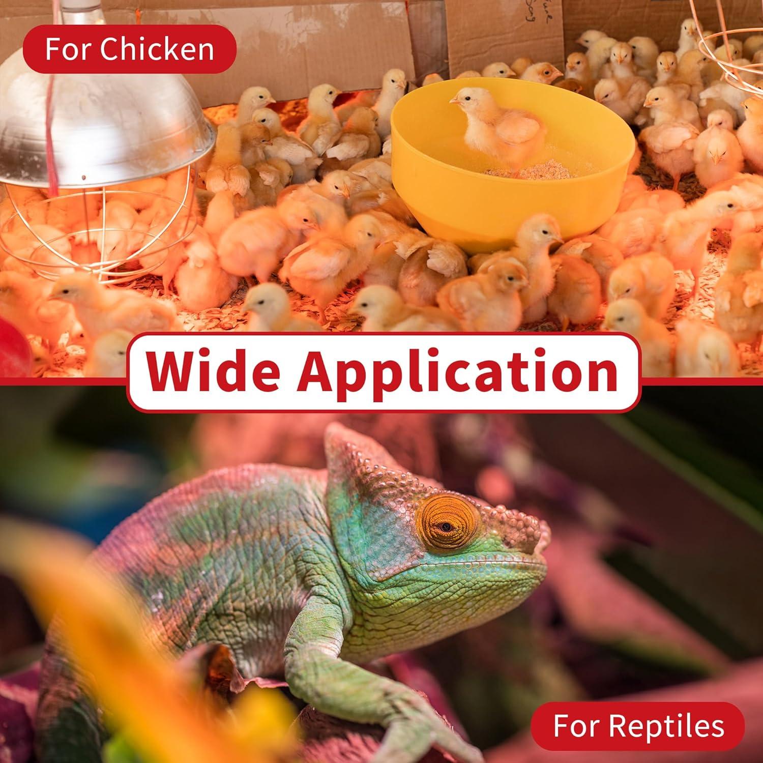 Bombillas de Calor Infrarrojas Jugbuy 250W E26 - Paquete de 2