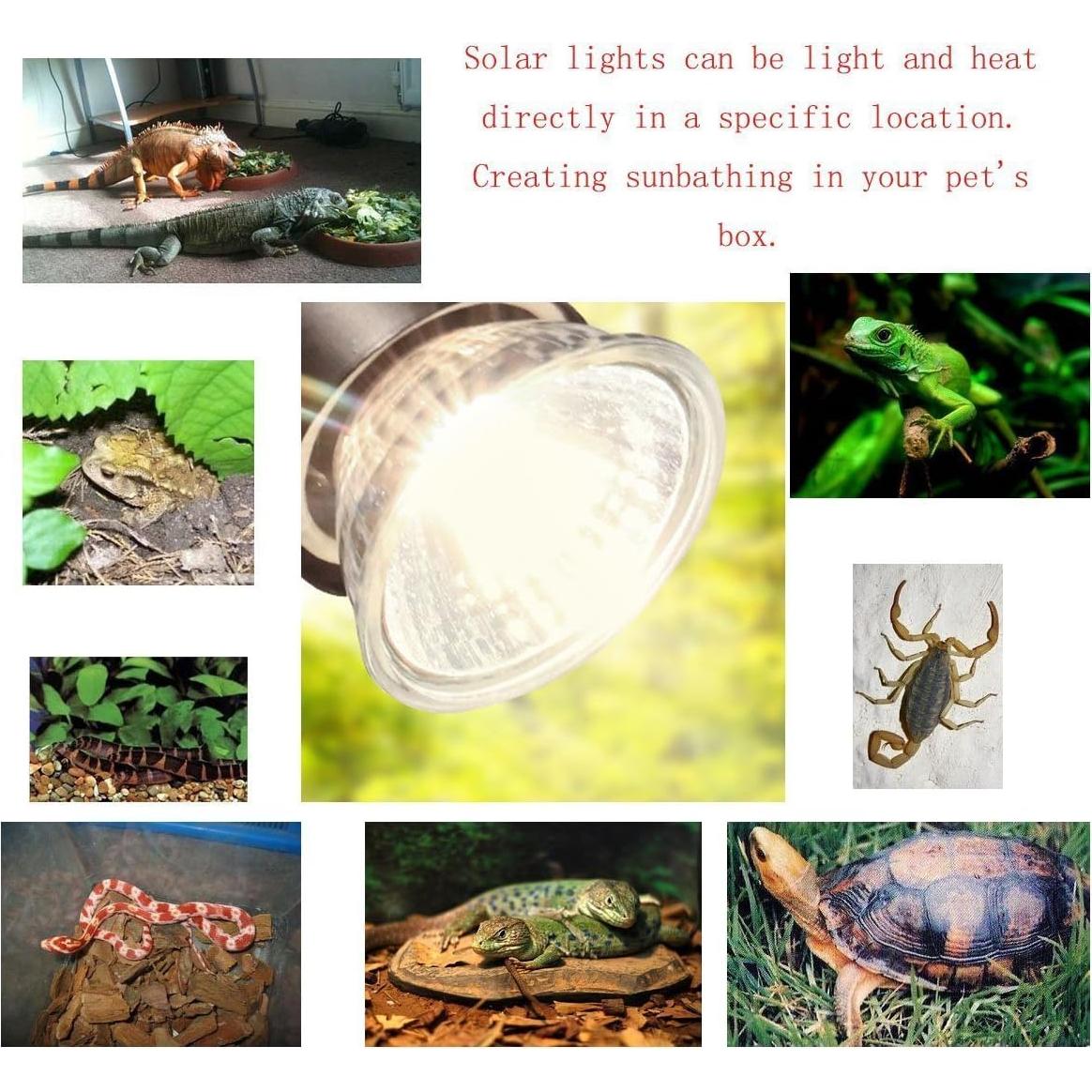 Bombilla Halógena 25W CTKcom para Reptiles - 4 Unidades