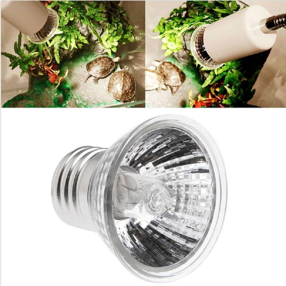 Paquete de 4 Lámparas de Calentamiento 50W CTKcom para Reptiles