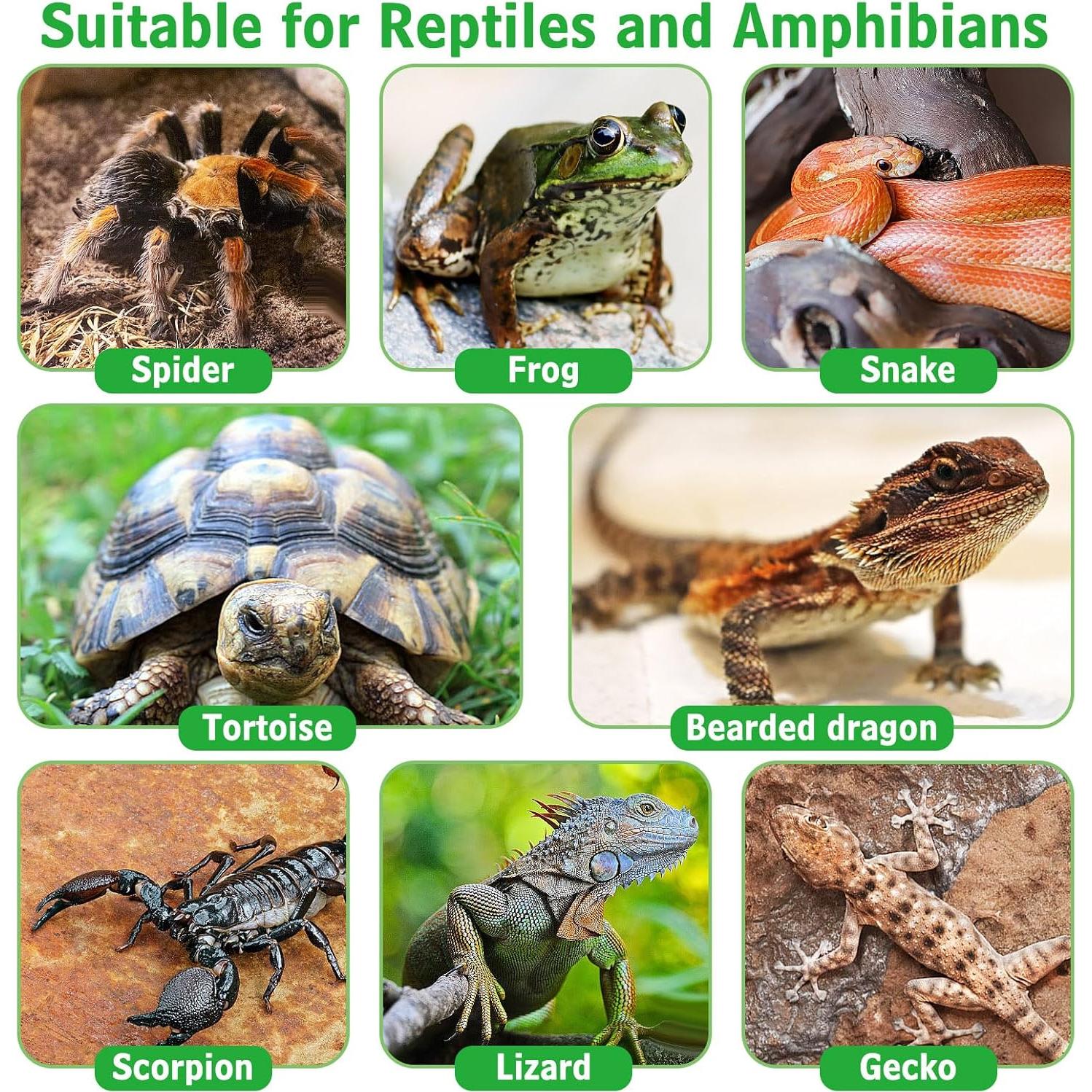 Soporte de Lámpara de Calor para Reptiles Kathson E26 Cerámica