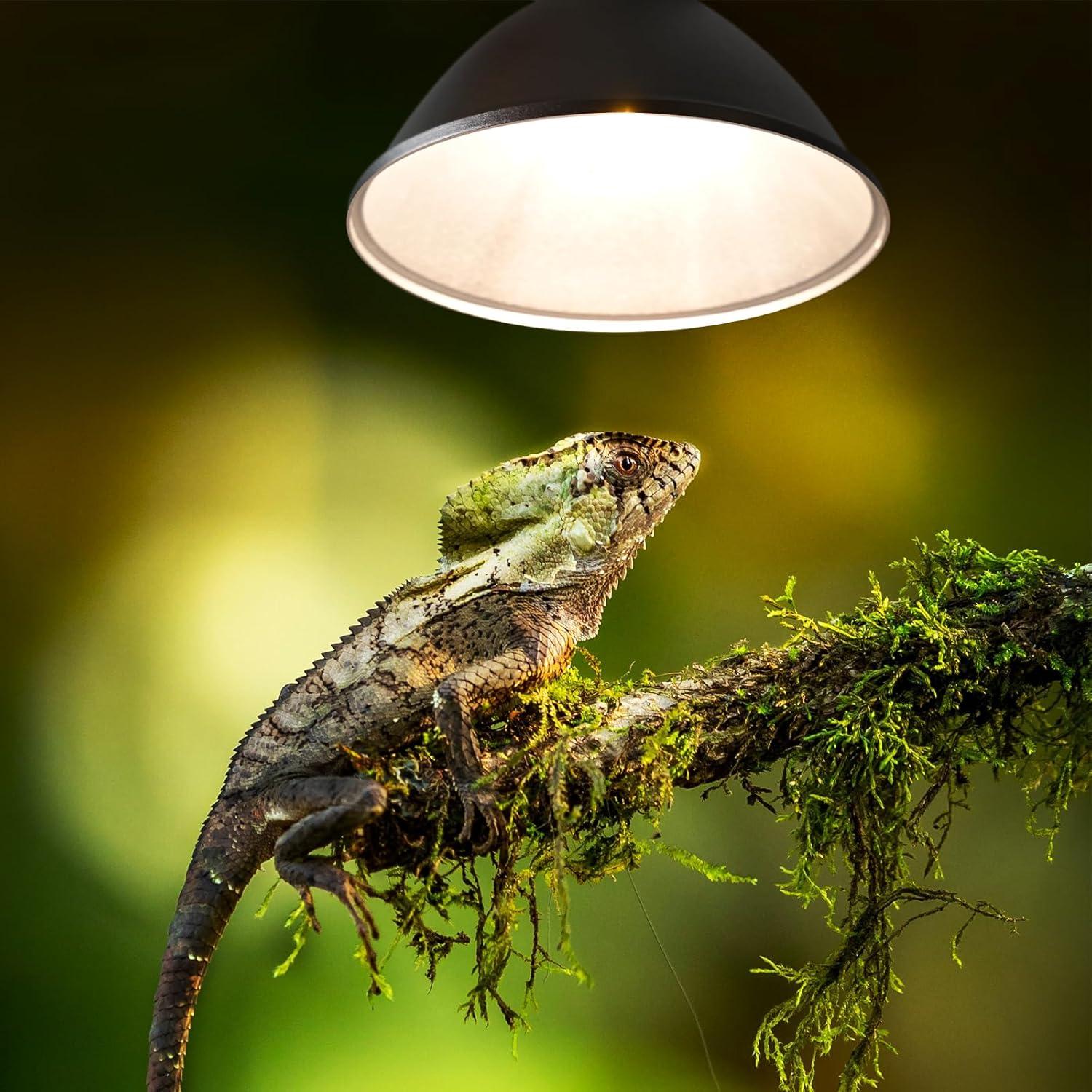 Lámpara de Calor para Reptiles MCLANZOO 50W G9