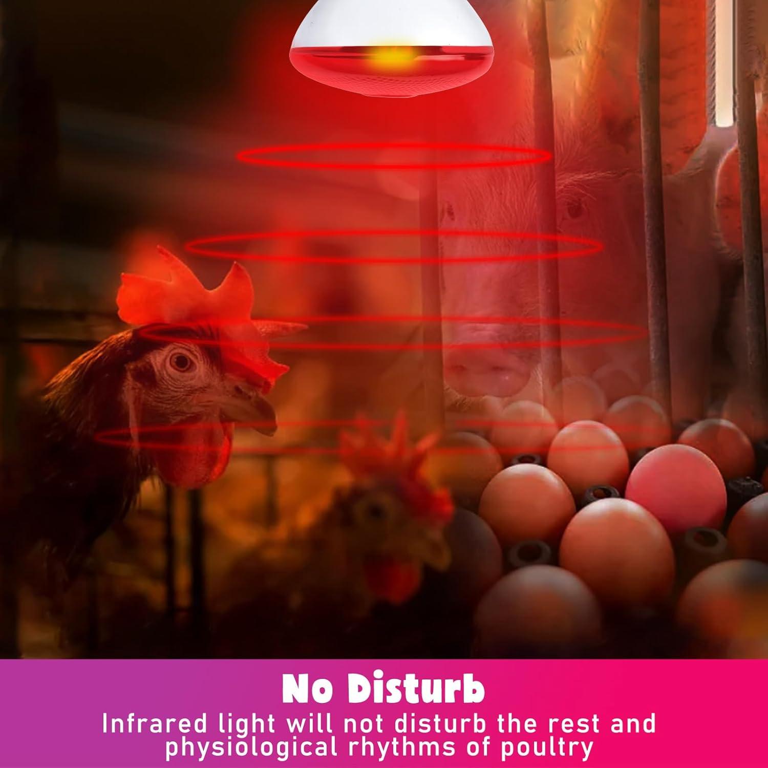 Lámpara de Calor Infrarroja LUCKY HERP 250W para Pollos y Reptiles