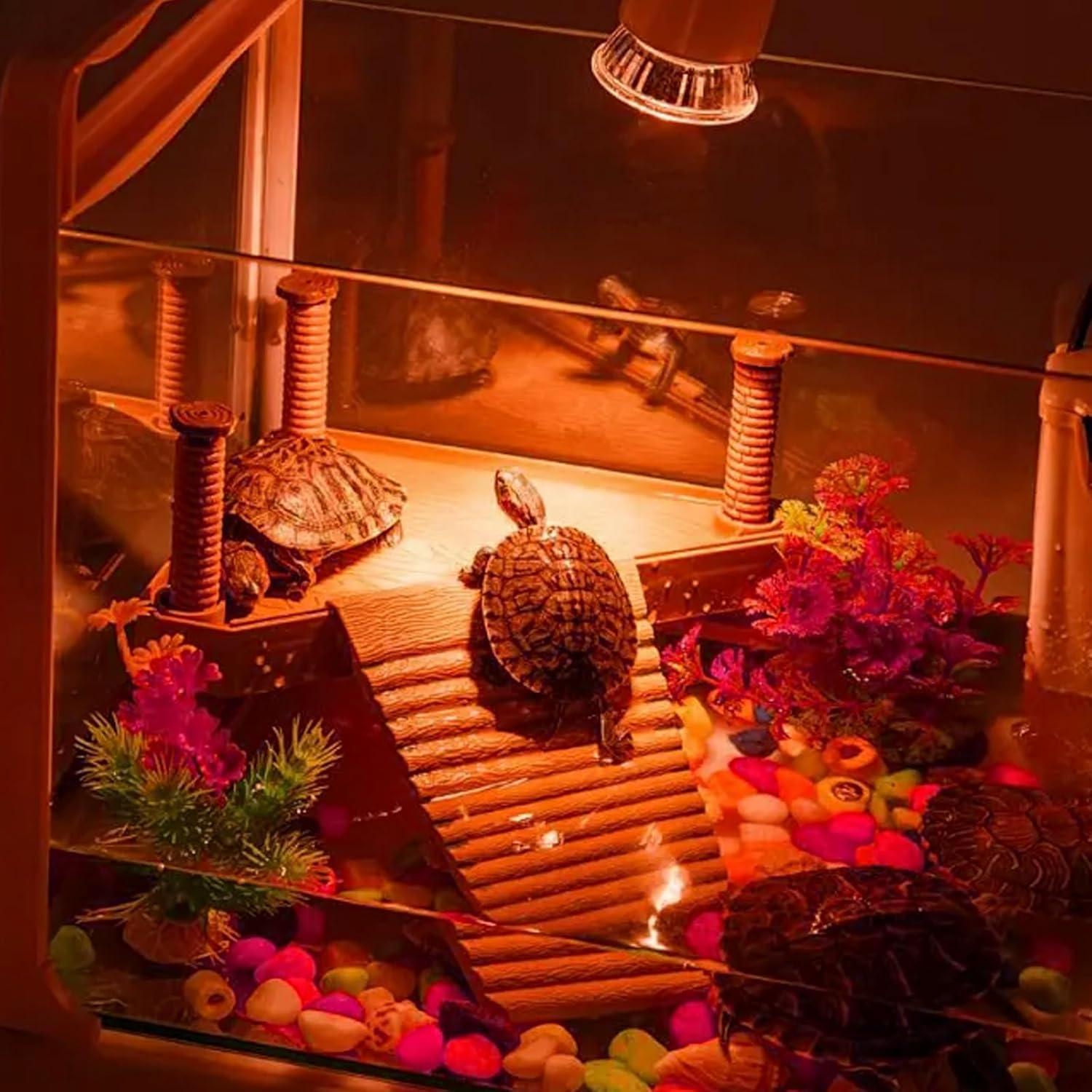 Paquete de 4 bombillas de calor UVA 25W Abustle Pig para reptiles