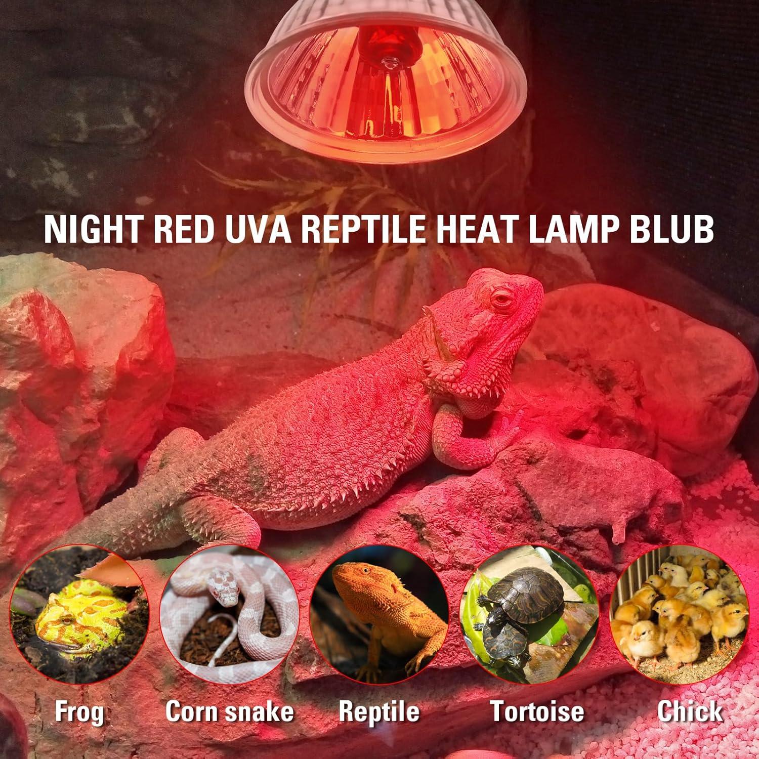 Paquete de 4 bombillas de calor UVA 25W Abustle Pig para reptiles