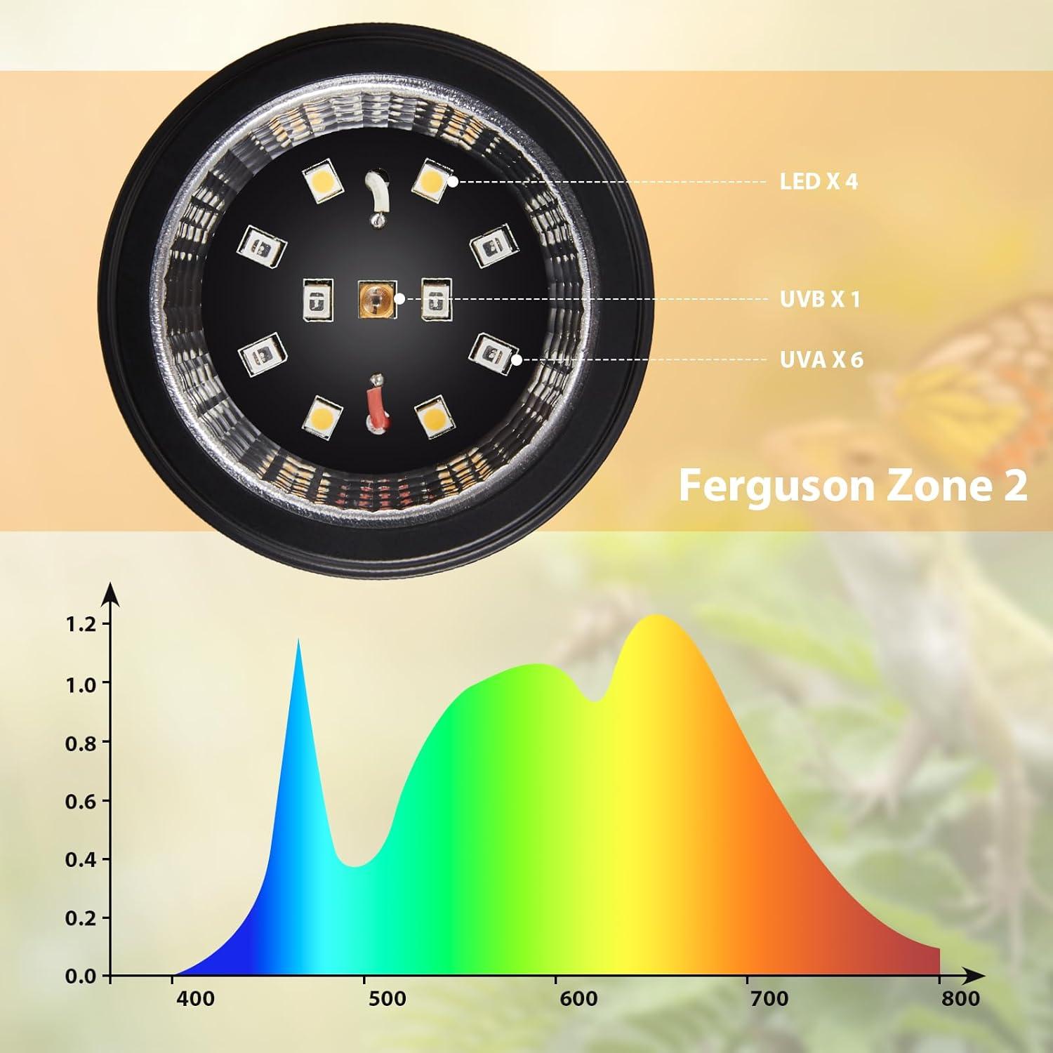 Lámpara LED UVB 5W ReptitriP para Reptiles - 5% UVB