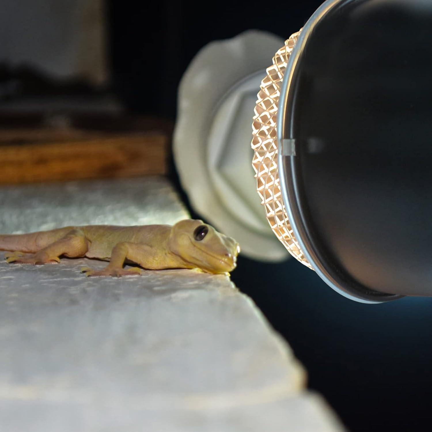 Cubierta de Lámpara de Calor para Reptiles NUOBESTY 13.97 cm