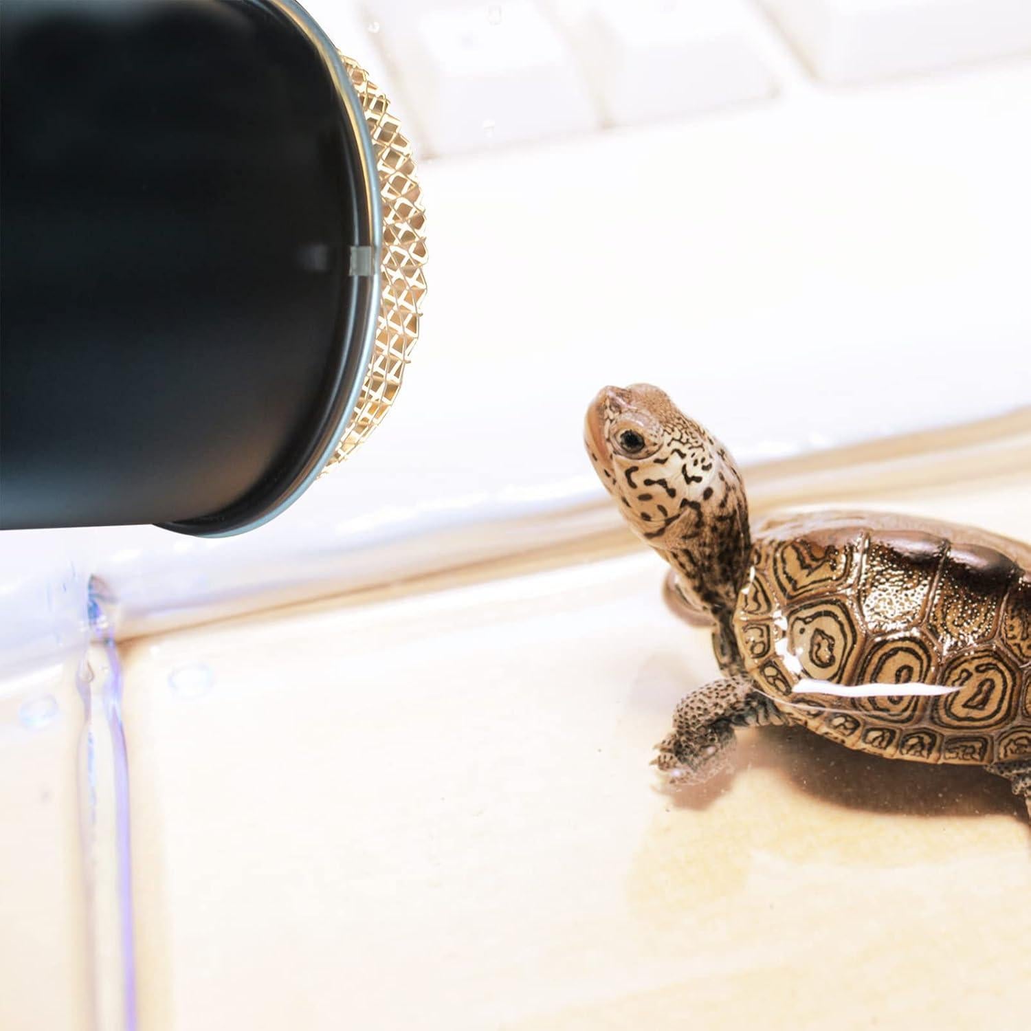 Cubierta de Lámpara de Calor para Reptiles NUOBESTY 13.97 cm