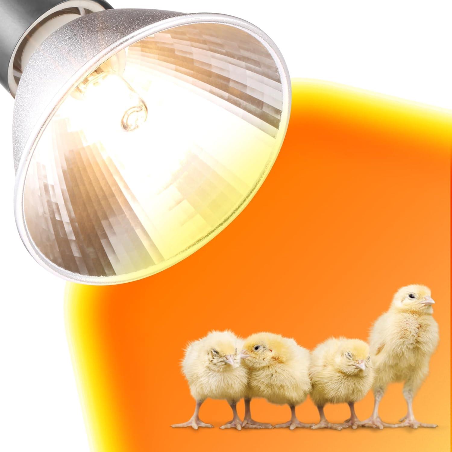 Paquete de 3 Lámparas de Calor G9 25W para Pollitos EXOREPTI