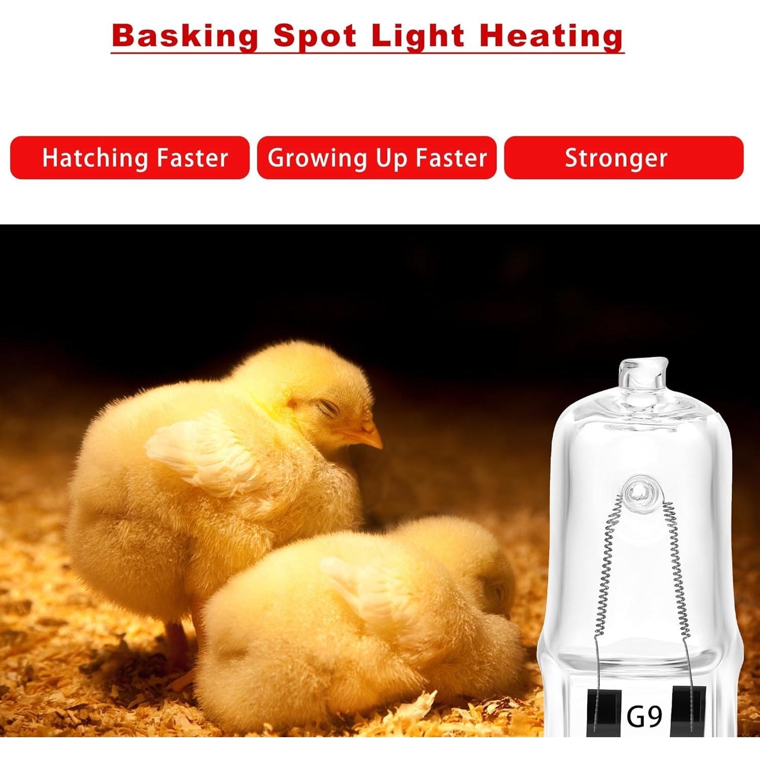 Paquete de 3 Lámparas de Calor G9 25W para Pollitos EXOREPTI