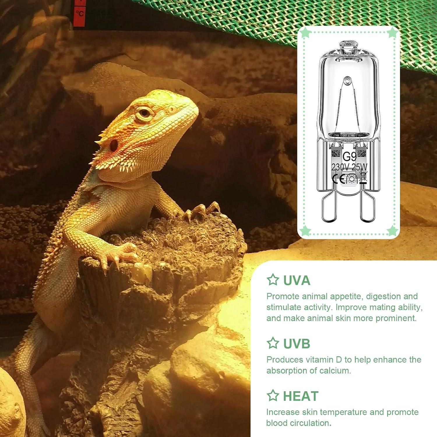 Bombillas de Calor para Reptiles Tarpop 25W UVB 12 Pcs