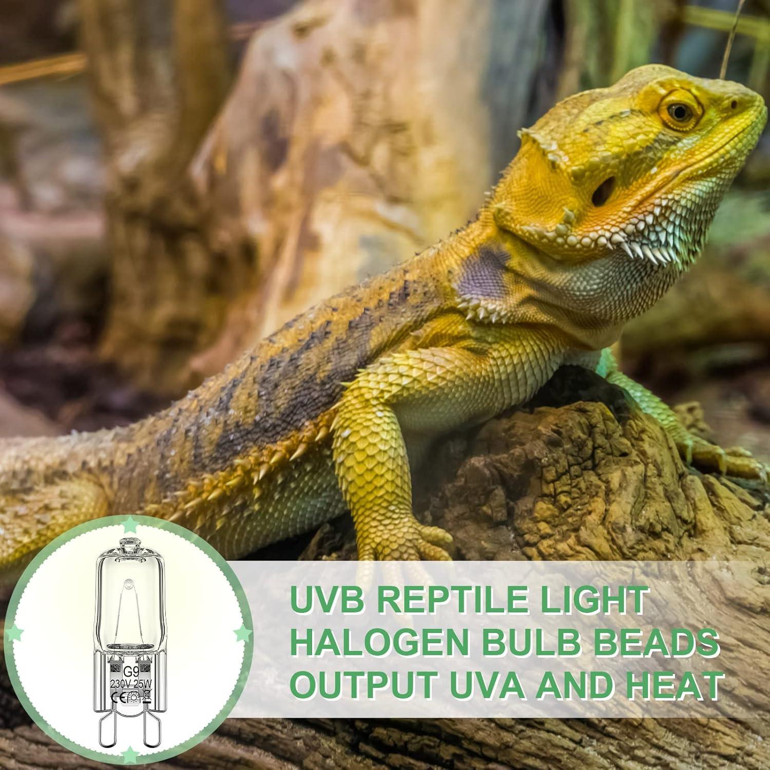 Bombillas de Calor para Reptiles Tarpop 25W UVB 12 Pcs