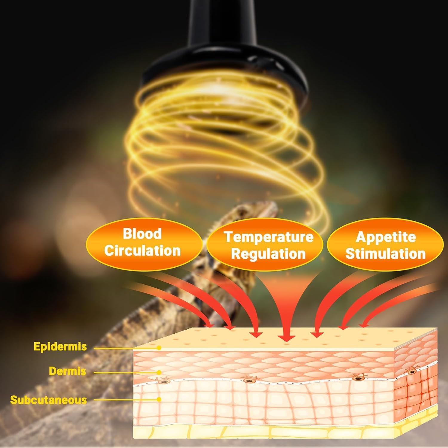 Lámpara de Calor Cerámica HARTOMPET 200W para Reptiles Negra